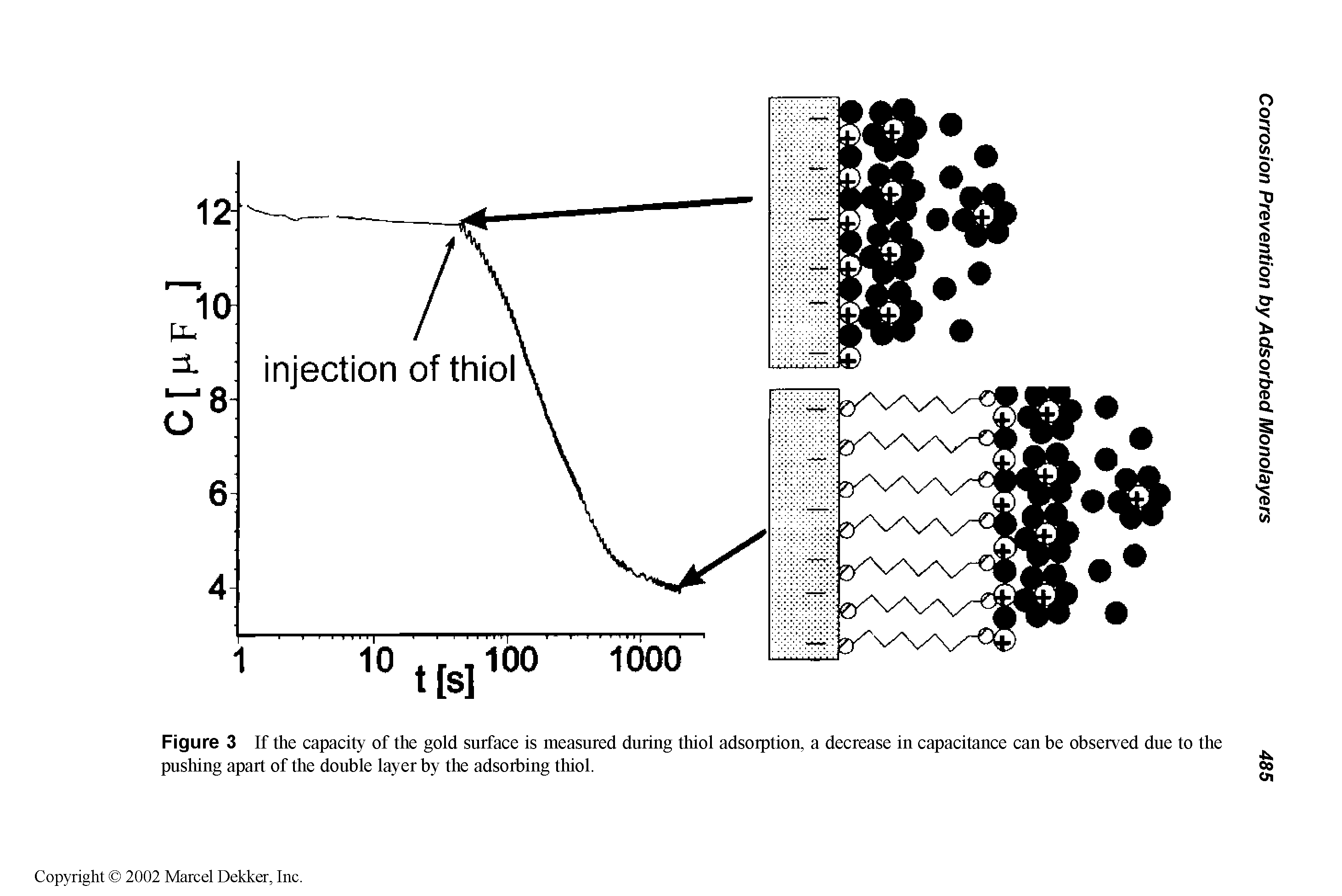 Figure 3 If the capacity of the gold surface is measured during thiol adsorption, a decrease in capacitance can be observed due to the pushing apart of the double layer by the adsorbing thiol.