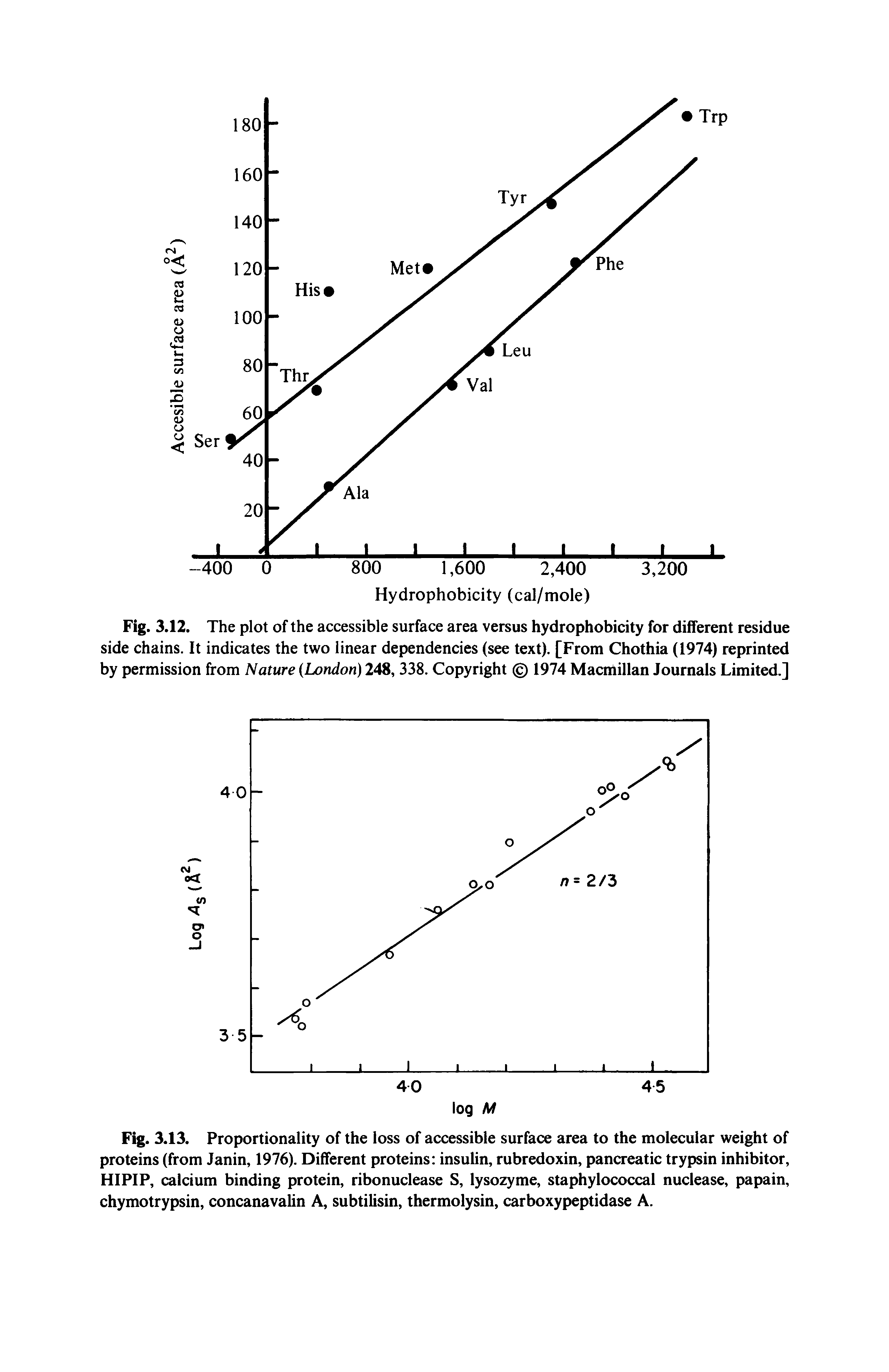 Fig. 3.13. Proportionality of the loss of accessible surface area to the molecular weight of proteins (from Janin, 1976). Different proteins insulin, rubredoxin, pancreatic trypsin inhibitor, HIPIP, calcium binding protein, ribonuclease S, lysozyme, staphylococcal nuclease, papain, chymotrypsin, concanavalin A, subtilisin, thermolysin, carboxypeptidase A.