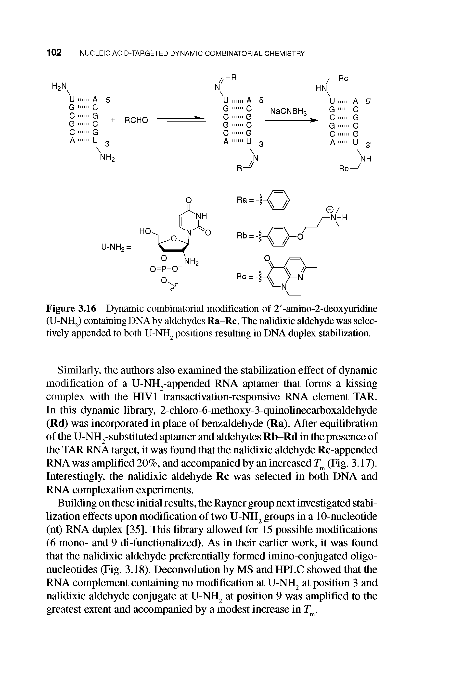 Figure 3.16 Dynamic combinatorial modification of 2 -amino-2-deoxyuridine (U-NH ) containing DNA by aldehydes Ra-Rc. The nalidixic aldehyde was selectively appended to both U-NH positions resulting in DNA duplex stabilization.