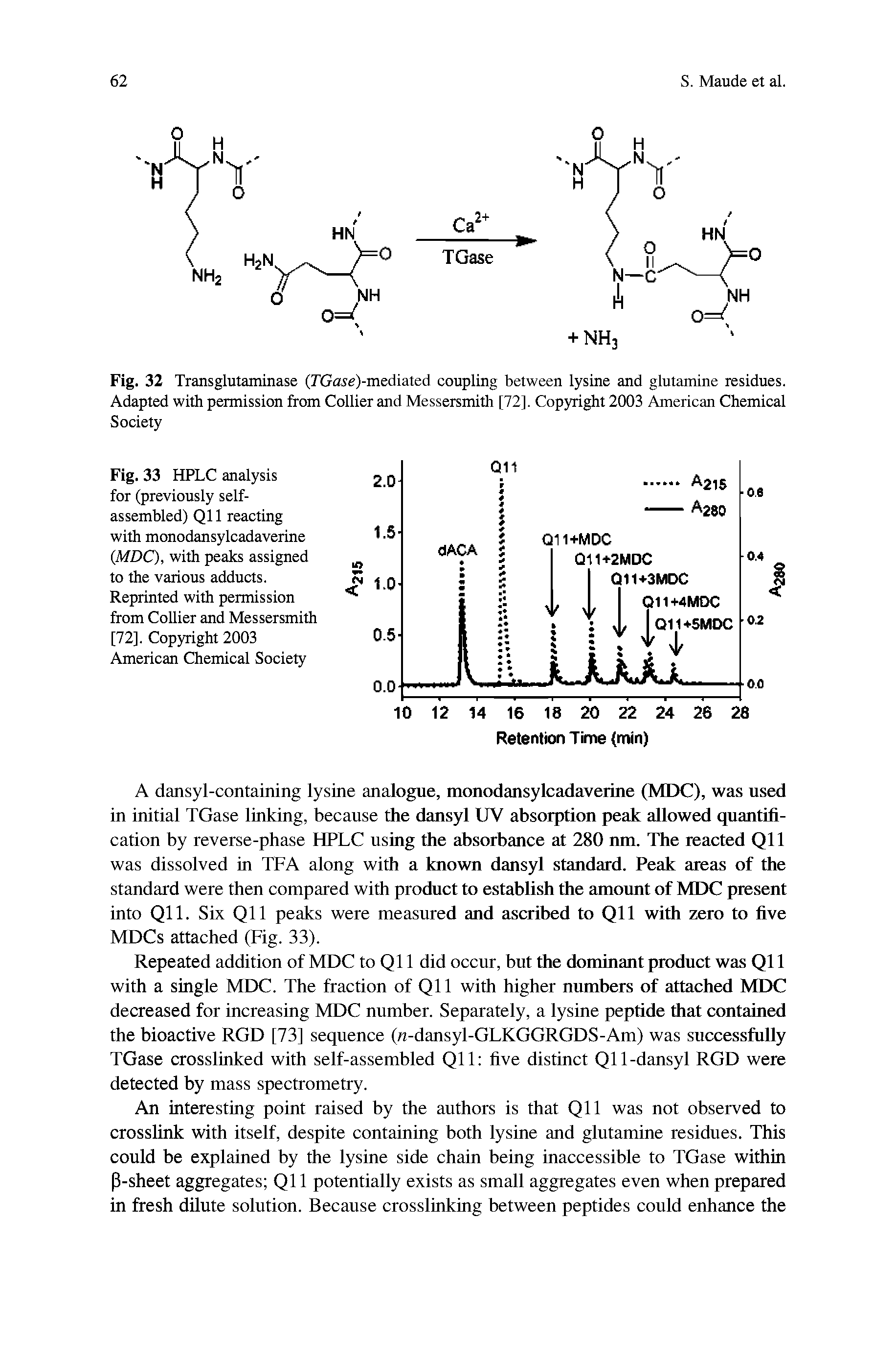 Fig. 32 Transglutaminase (rGare)-mediated coupling between lysine and glutamine residues. Adapted with permission from Collier and Messersmith [72], Copyright 2003 American Chemical Society...