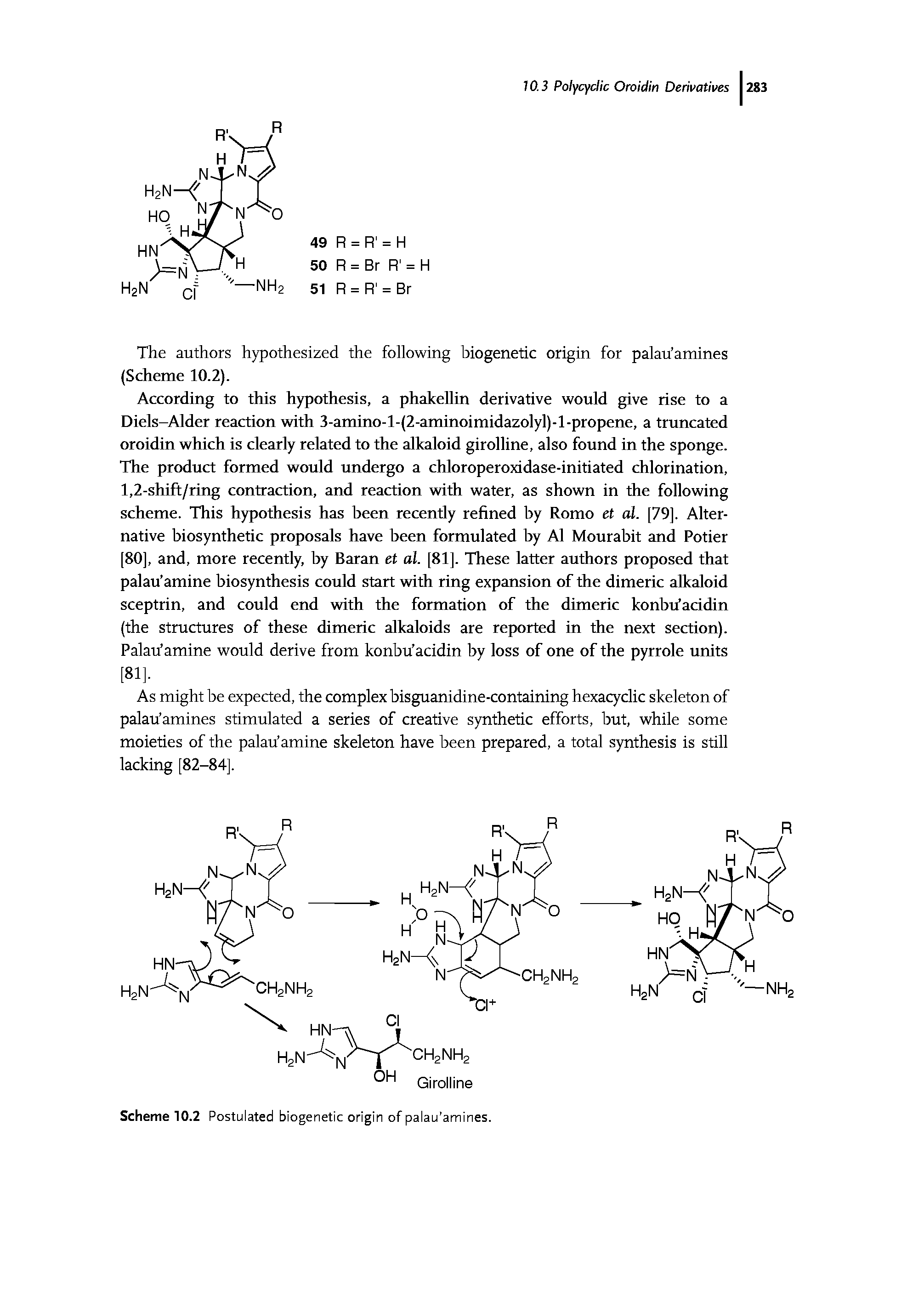 Scheme 10.2 Postulated biogenetic origin of palau amines.