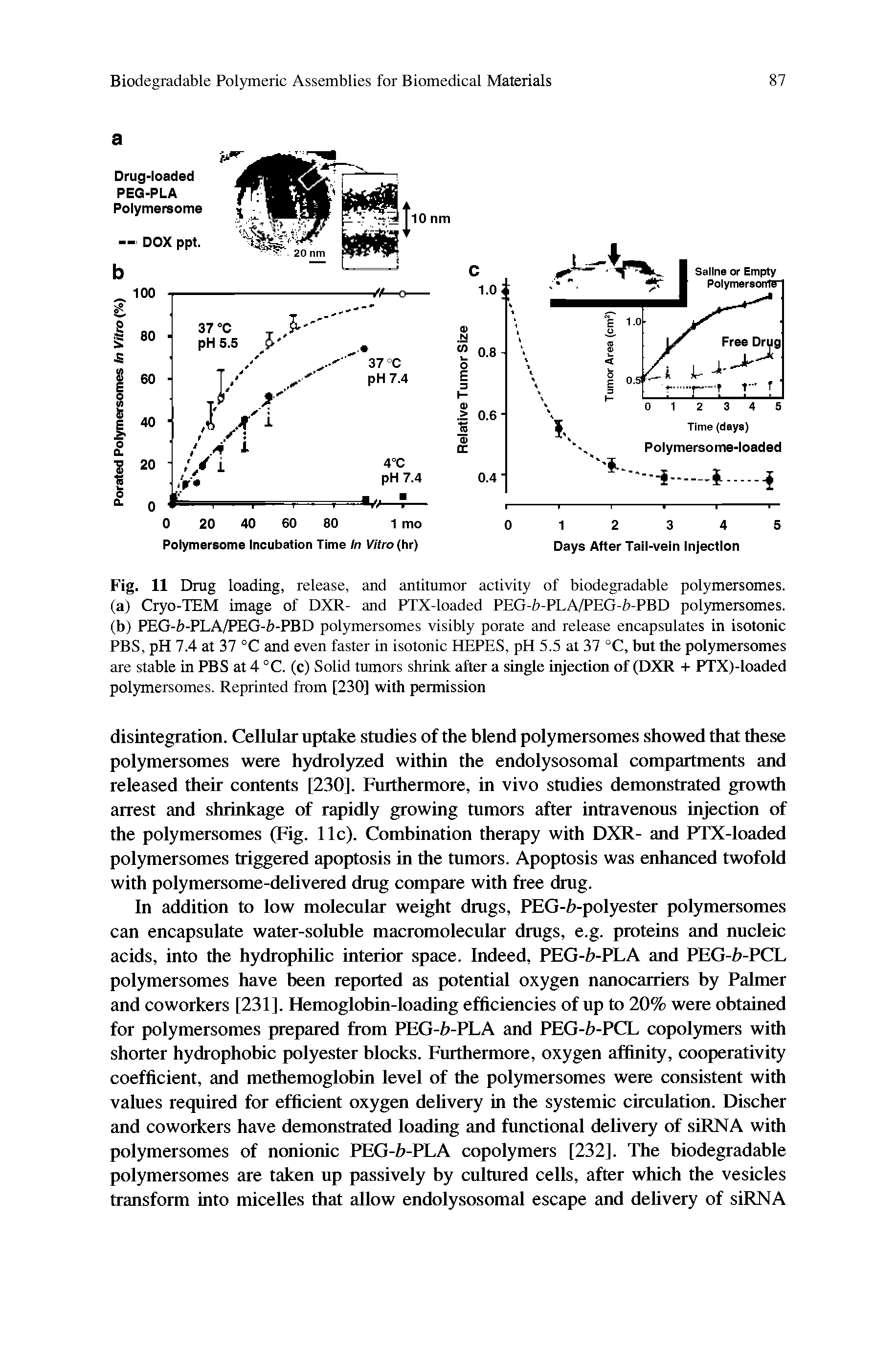 Fig. 11 Drug loading, release, and antitumor activity of biodegradable polymersomes.