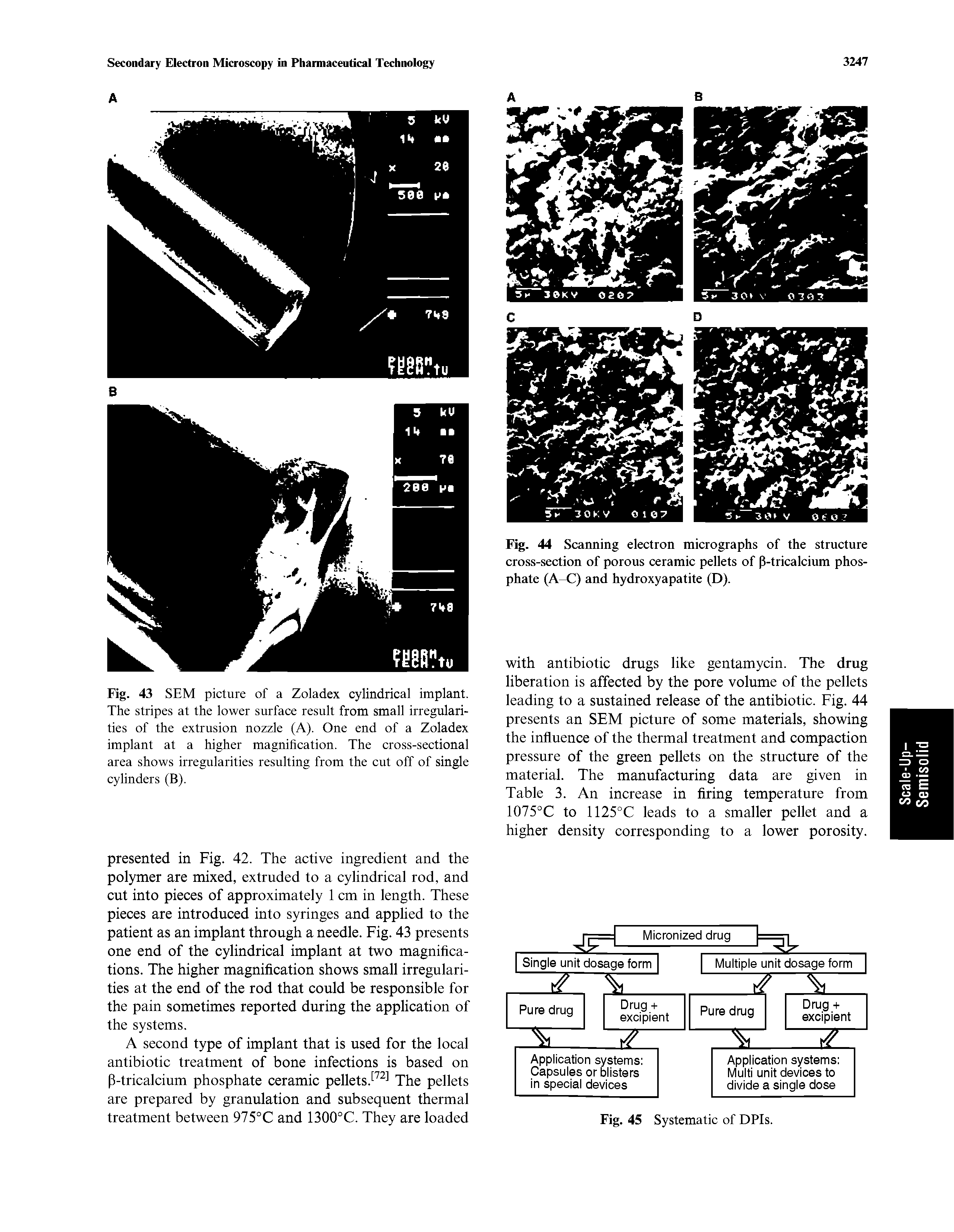 Fig. 44 Scanning electron micrographs of the structure cross-section of porous ceramic pellets of P-tricalcium phosphate (A-C) and hydroxyapatite (D).