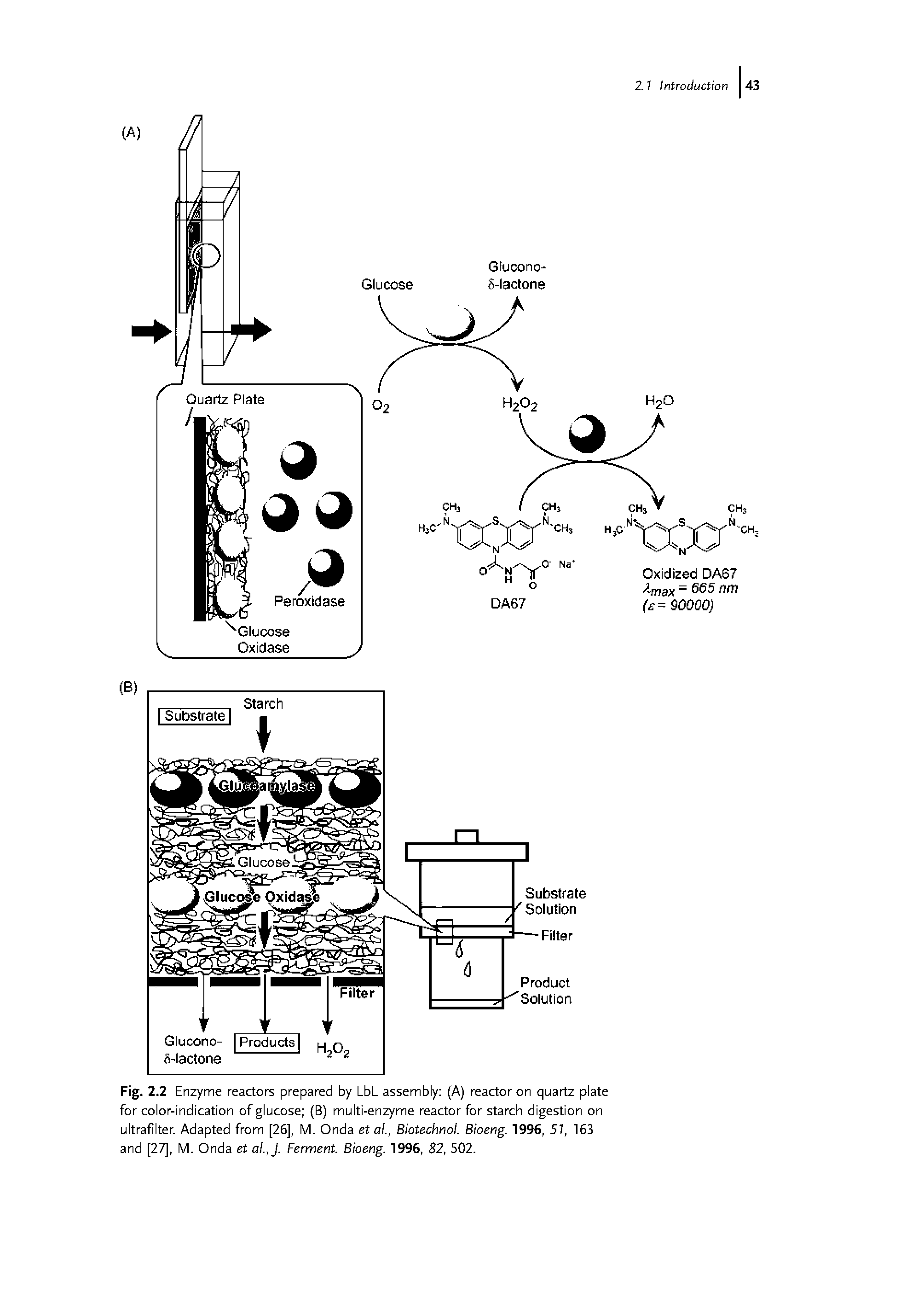 Fig. 2.2 Enzyme reactors prepared by LbL assembly (A) reactor on quartz plate for color-indication of glucose (B) multi-enzyme reactor for starch digestion on ultrafilter. Adapted from [26], M. Onda etal, Biotechnol. Bioeng. 1996, 57, 163 and [27], M. Onda et al.,J. Ferment. Bioeng. 1996, 82, 502.