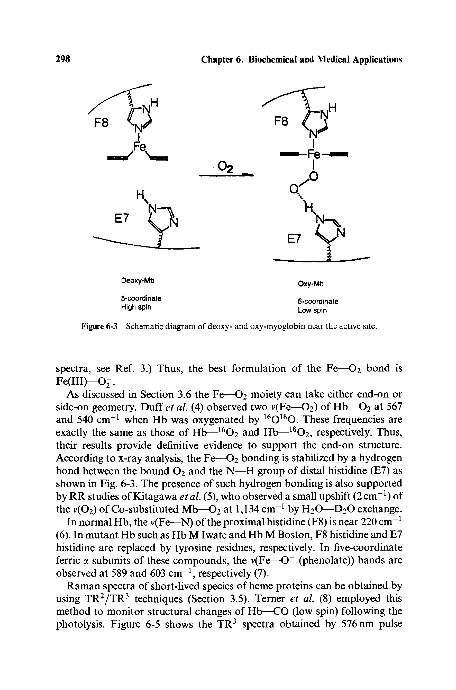 Figure 6-3 Schematic diagram of deoxy- and oxy-myoglobin near the active site.