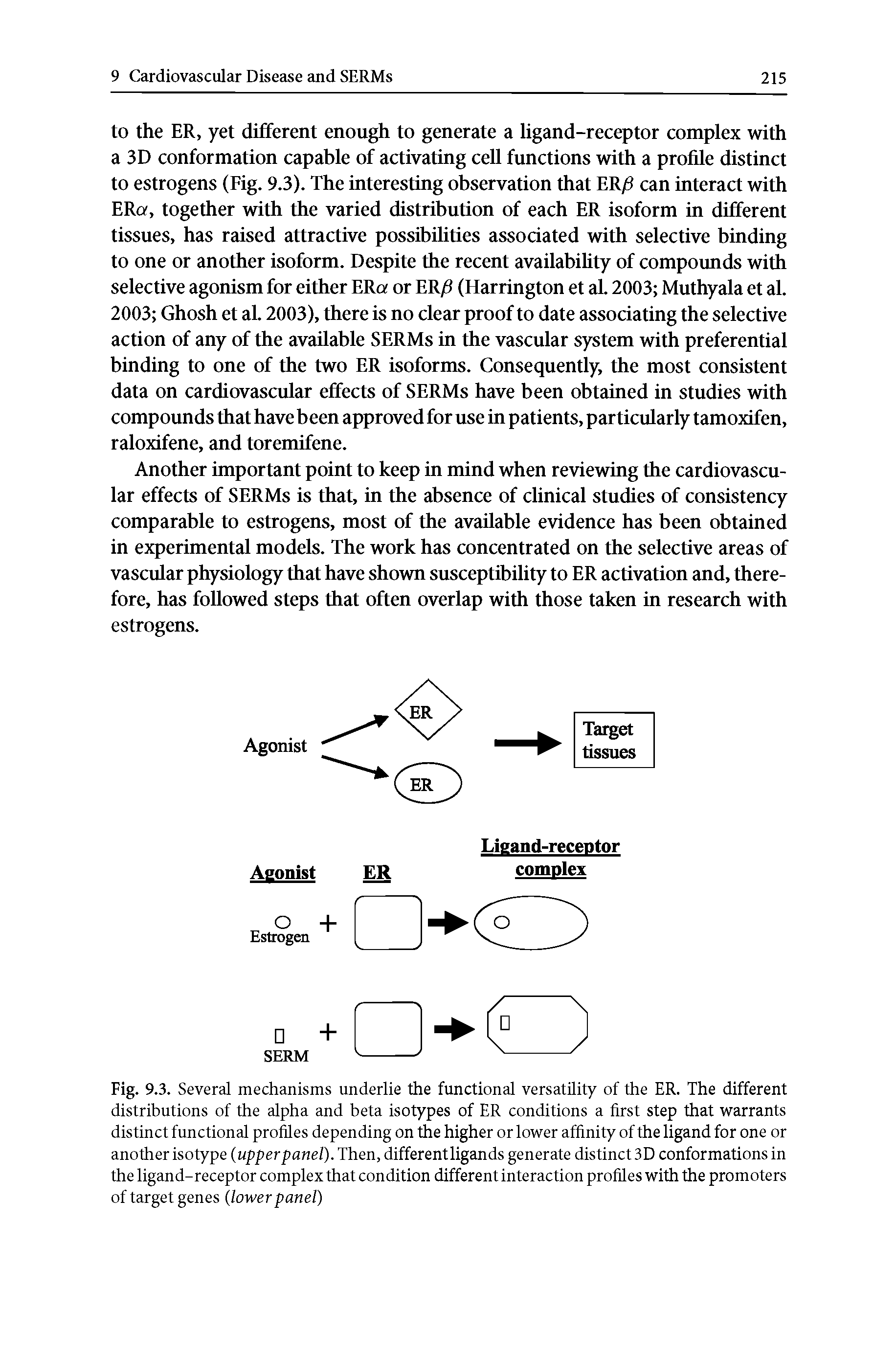 Fig. 9.3. Several mechanisms underlie the functional versatility of the ER. The different distributions of the alpha and beta isotypes of ER conditions a first step that warrants distinct functional profiles depending on the higher or lower affinity of the ligand for one or another isotype (upper panel). Then, differentligands generate distinct 3D conformations in the ligand-receptor complex that condition different interaction profiles with the promoters of target genes (lower panel)...