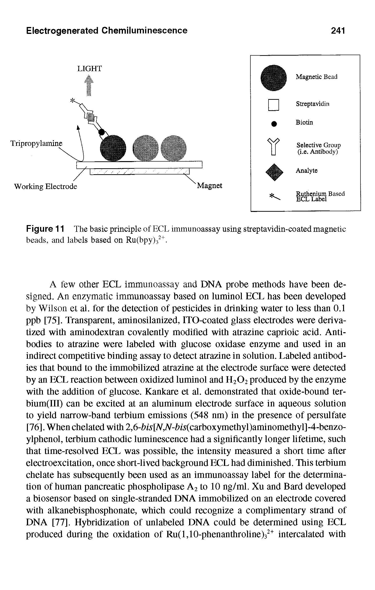 Figure 11 The basic principle of ECL immunoassay using streptavidin-coated magnetic beads, and labels based on Ru(bpy)32+.