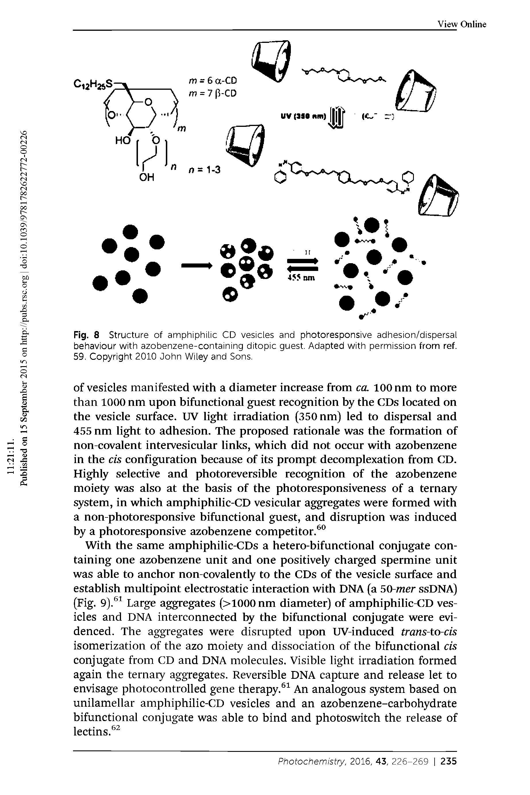 Fig. 8 Structure of amphiphilic CD vesicles and photoresponsive adhesion/dispersal behaviour with azobenzene-containing ditopic guest. Adapted with permission from ref. 59. Copyright 2010 John Wiley and Sons.