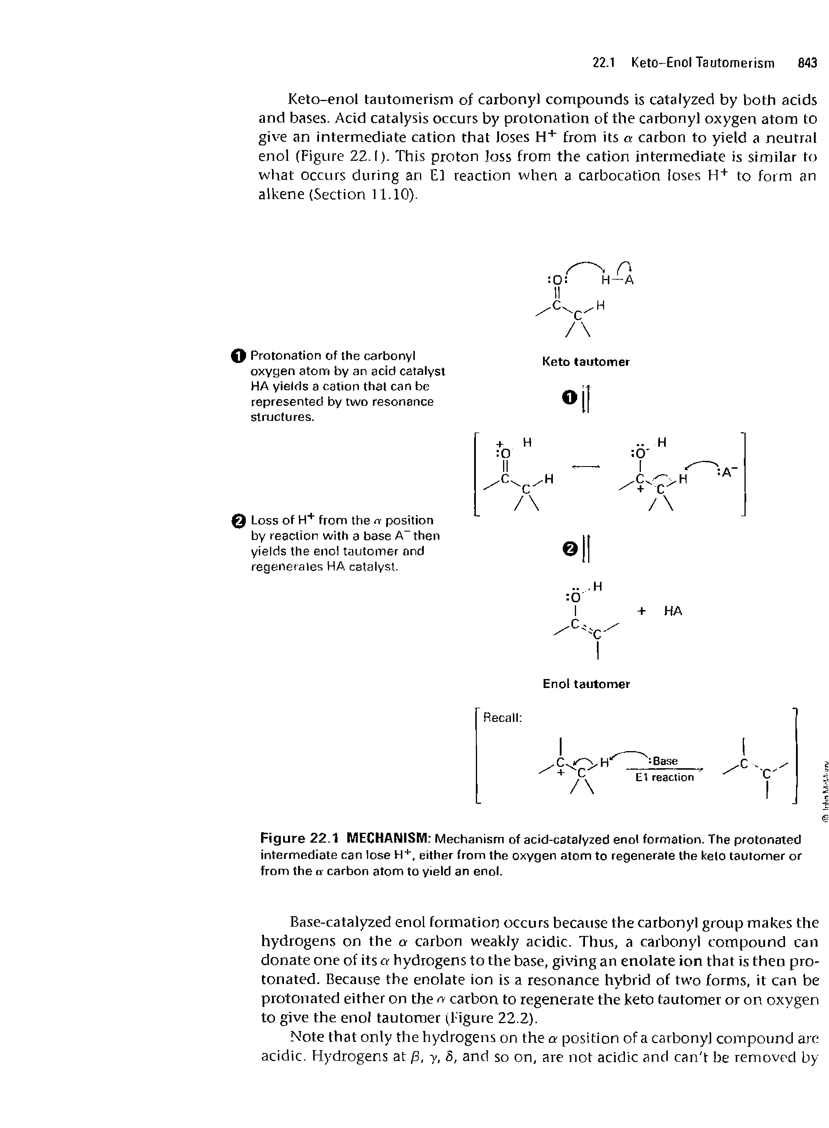 Figure 22.1 MECHANISM Mechanism of acid-catalyzed enol formation. The protonated intermediate can lose H+, either from the oxygen atom to regenerate the kelo tautomer or from the a carbon atom to yield an enol.