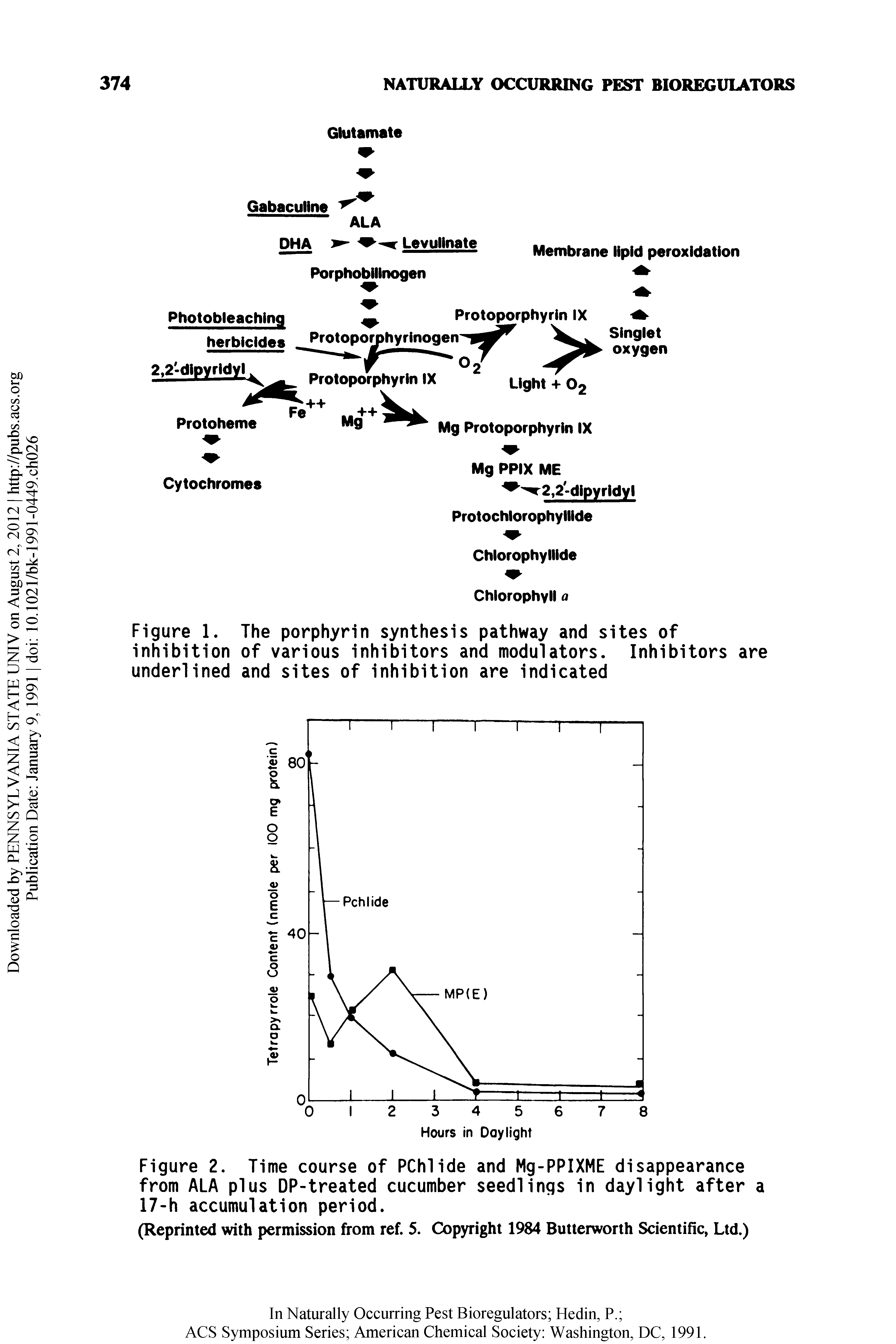 Figure 1. The porphyrin synthesis pathway and sites of inhibition of various inhibitors and modulators. Inhibitors are underlined and sites of inhibition are indicated...