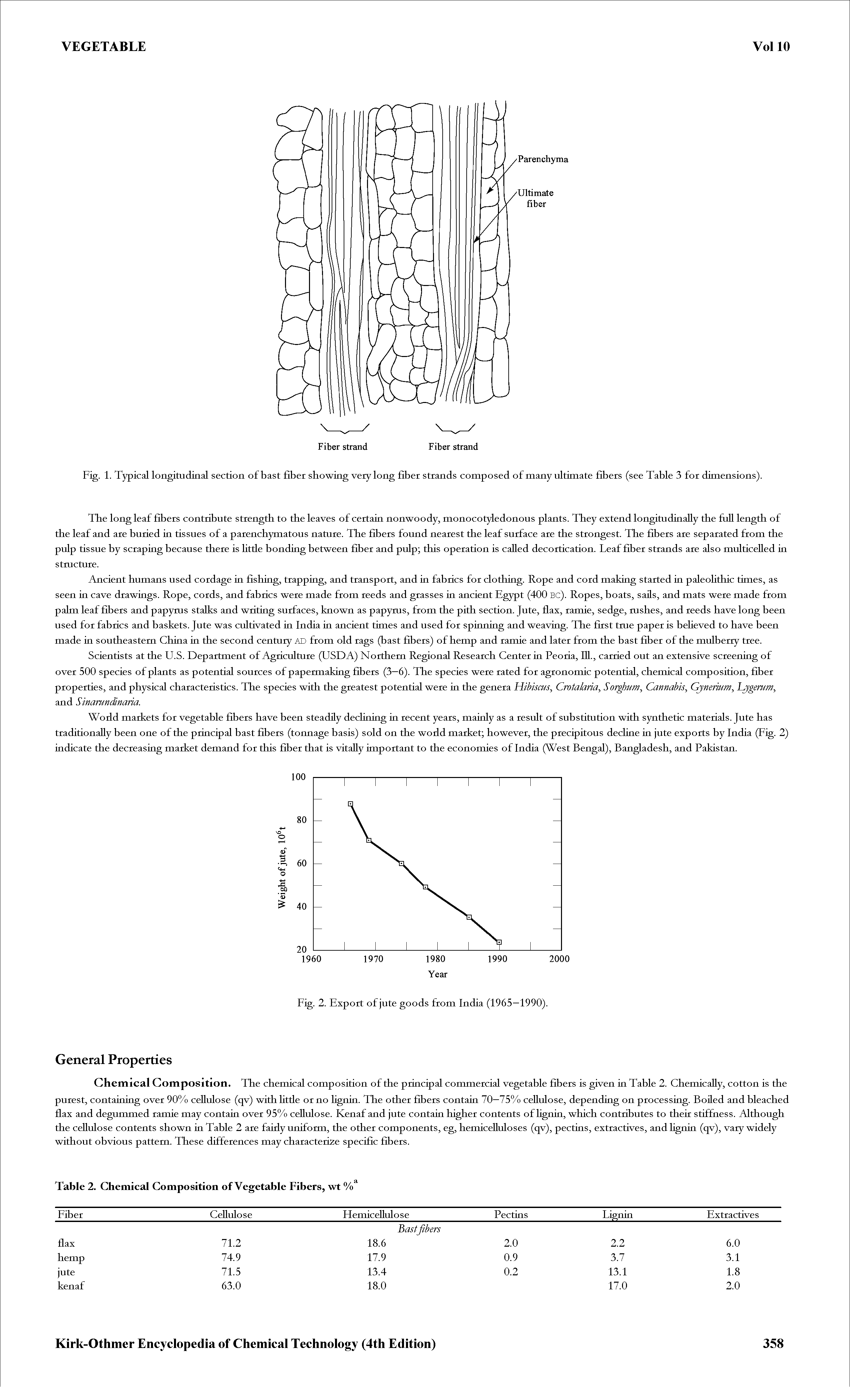 Fig. 1. Typical longitudinal section of bast fiber showing very long fiber strands composed of many ultimate fibers (see Table 3 for dimensions).