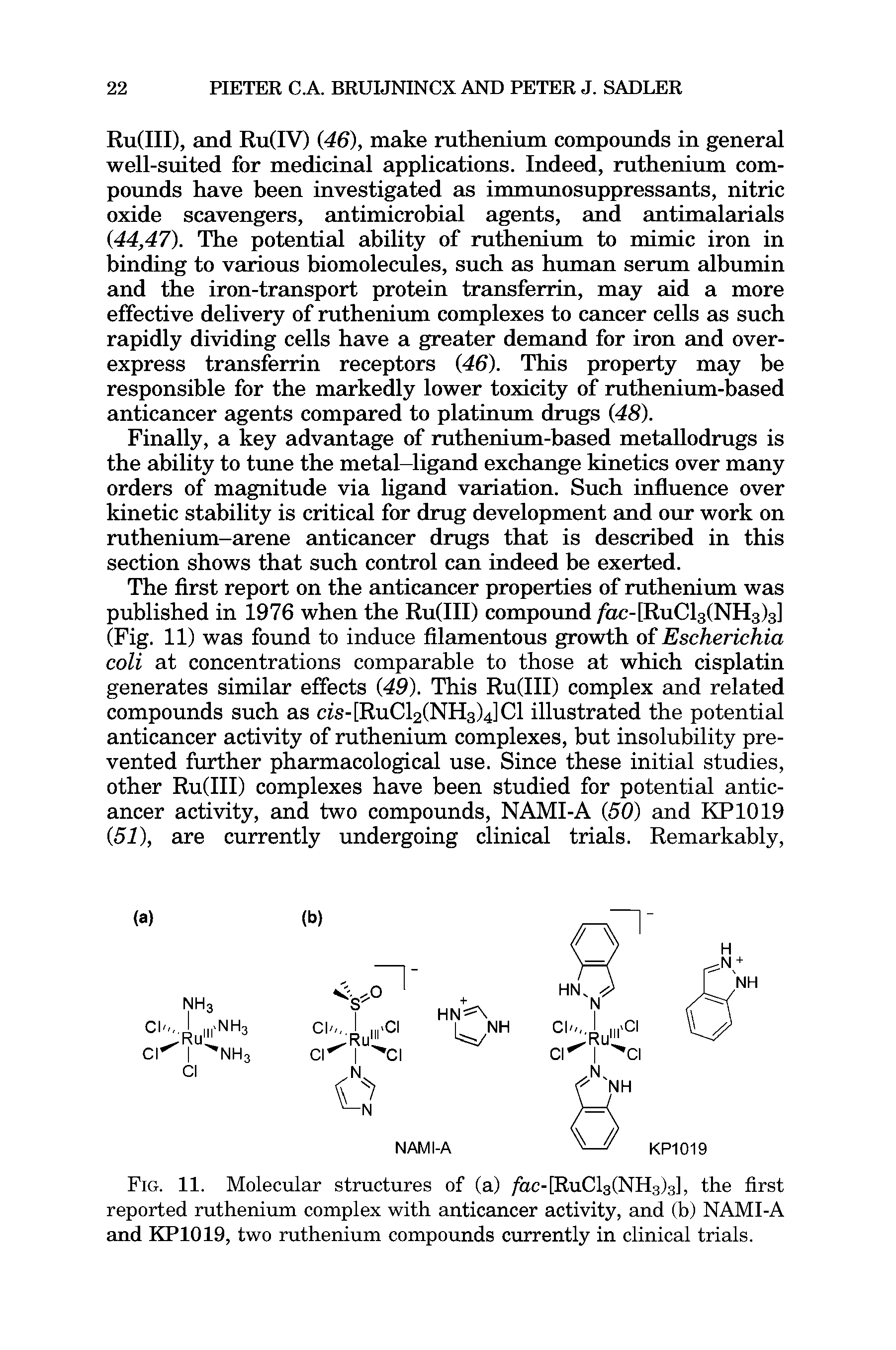 Fig. 11. Molecular structures of (a) fac-[RuCl3(NH3)3], the first reported ruthenium complex with anticancer activity, and (b) NAMI-A and KP1019, two ruthenium compounds currently in clinical trials.