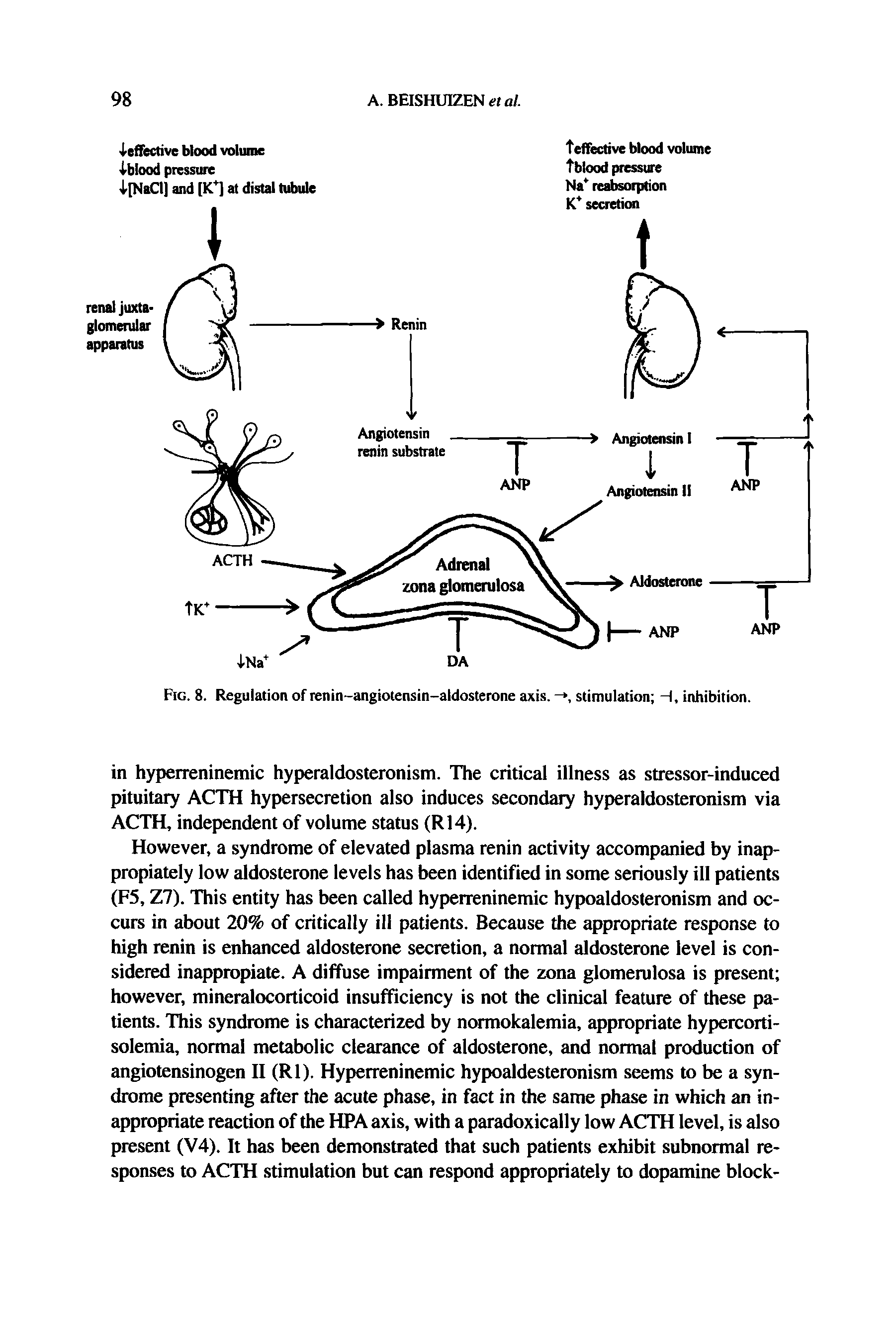 Fig. 8. Regulation of renin-angiotensin-aldosterone axis. stimulation -I, inhibition.