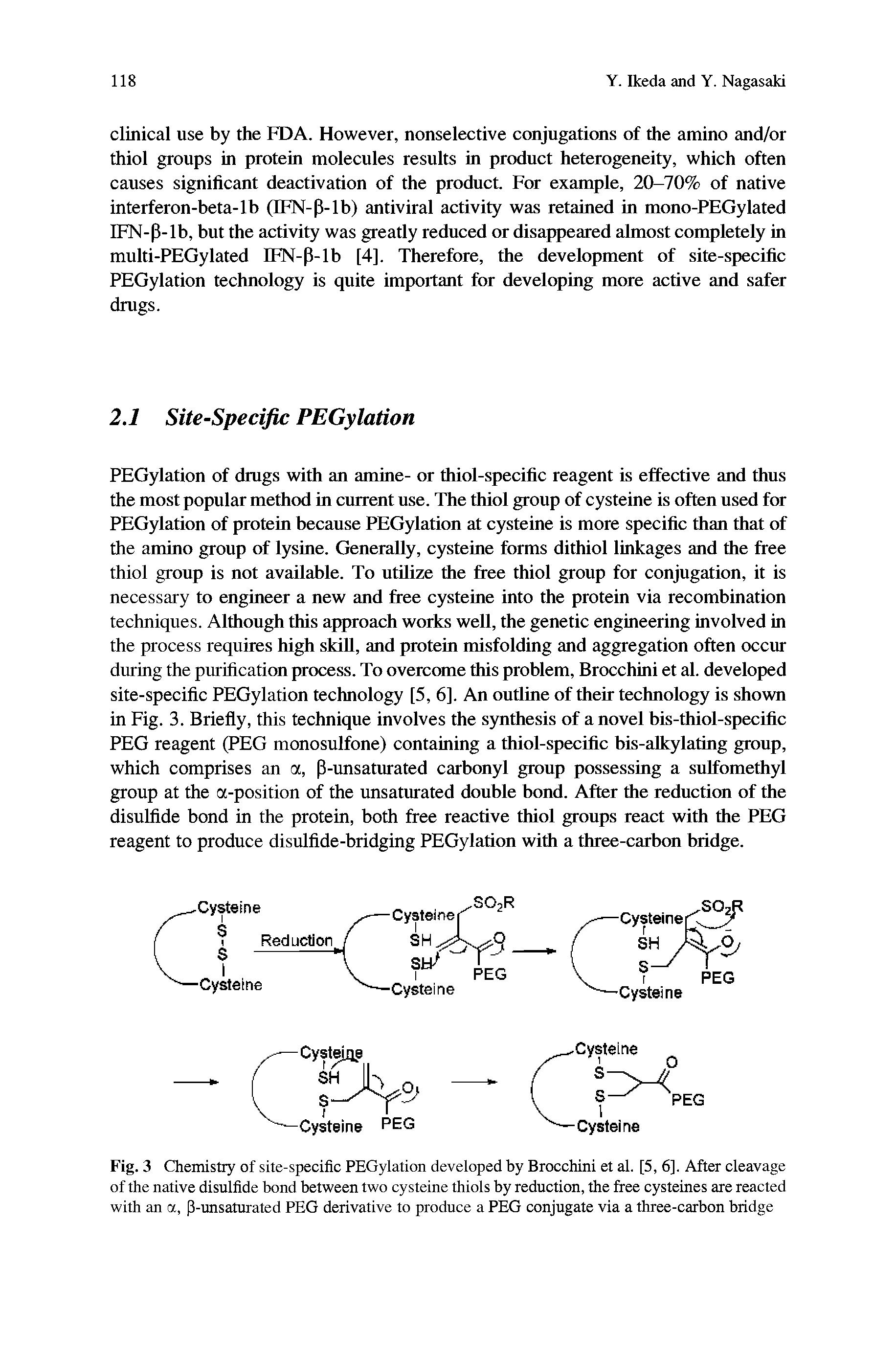 Fig. 3 Chemistry of site-specific PEGylation developed by Brocchini et al. [5, 6]. After cleavage of the native disulfide bond between two cysteine thiols by reduction, the free cysteines are reacted with an a, (3-unsaturated PEG derivative to produce a PEG conjugate via a three-carbon bridge...