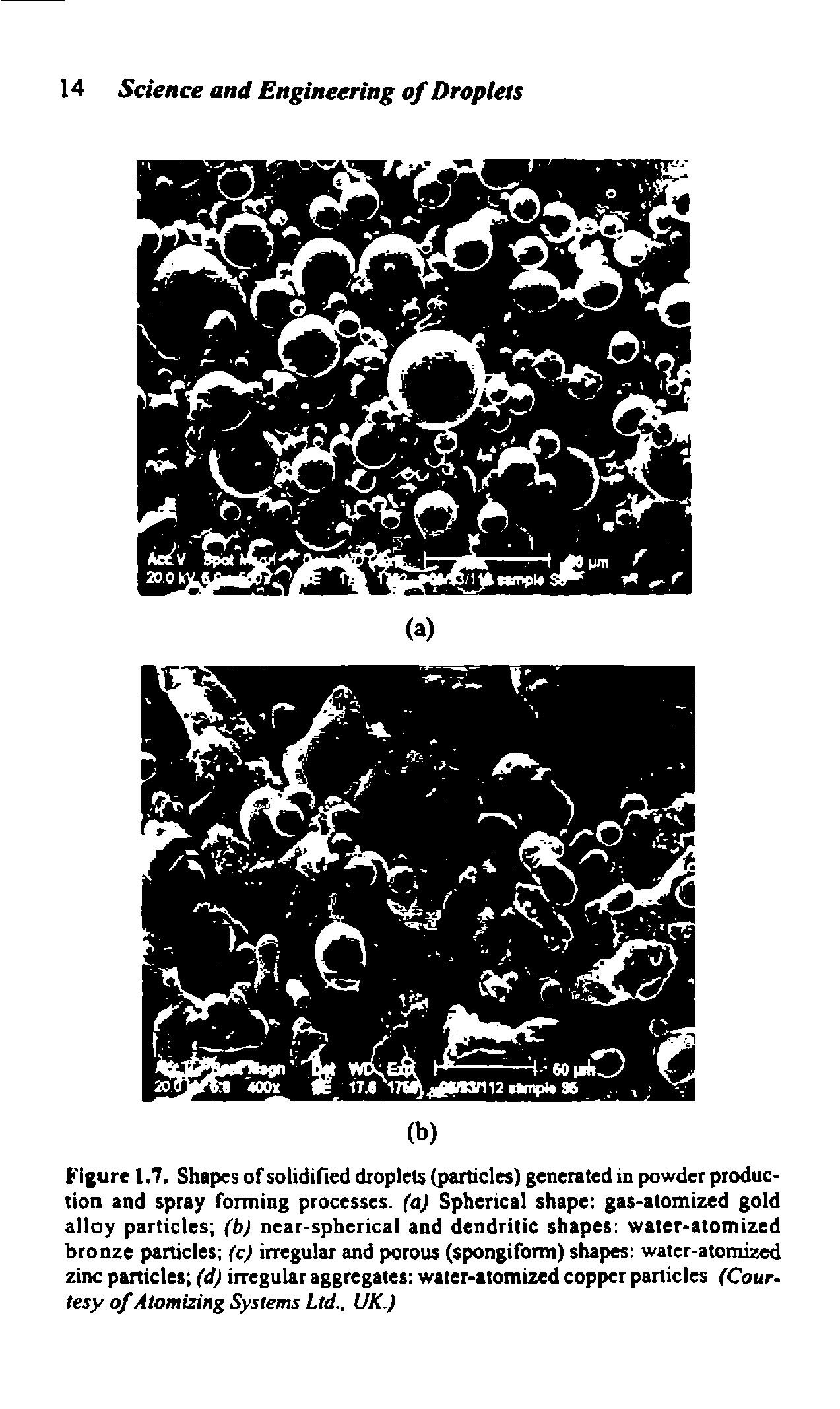 Figure 1.7. Shapes of solidified droplets (particles) generated in powder production and spray forming processes, (a) Spherical shape gas-atomized gold alloy particles (b) near-spherical and dendritic shapes water-atomized bronze particles (c) irregular and porous (spongiform) shapes water-atomized zinc particles (d) irregular aggregates water-atomized copper particles (Cour. tesy of Atomizing Systems Ltd., UK.)...