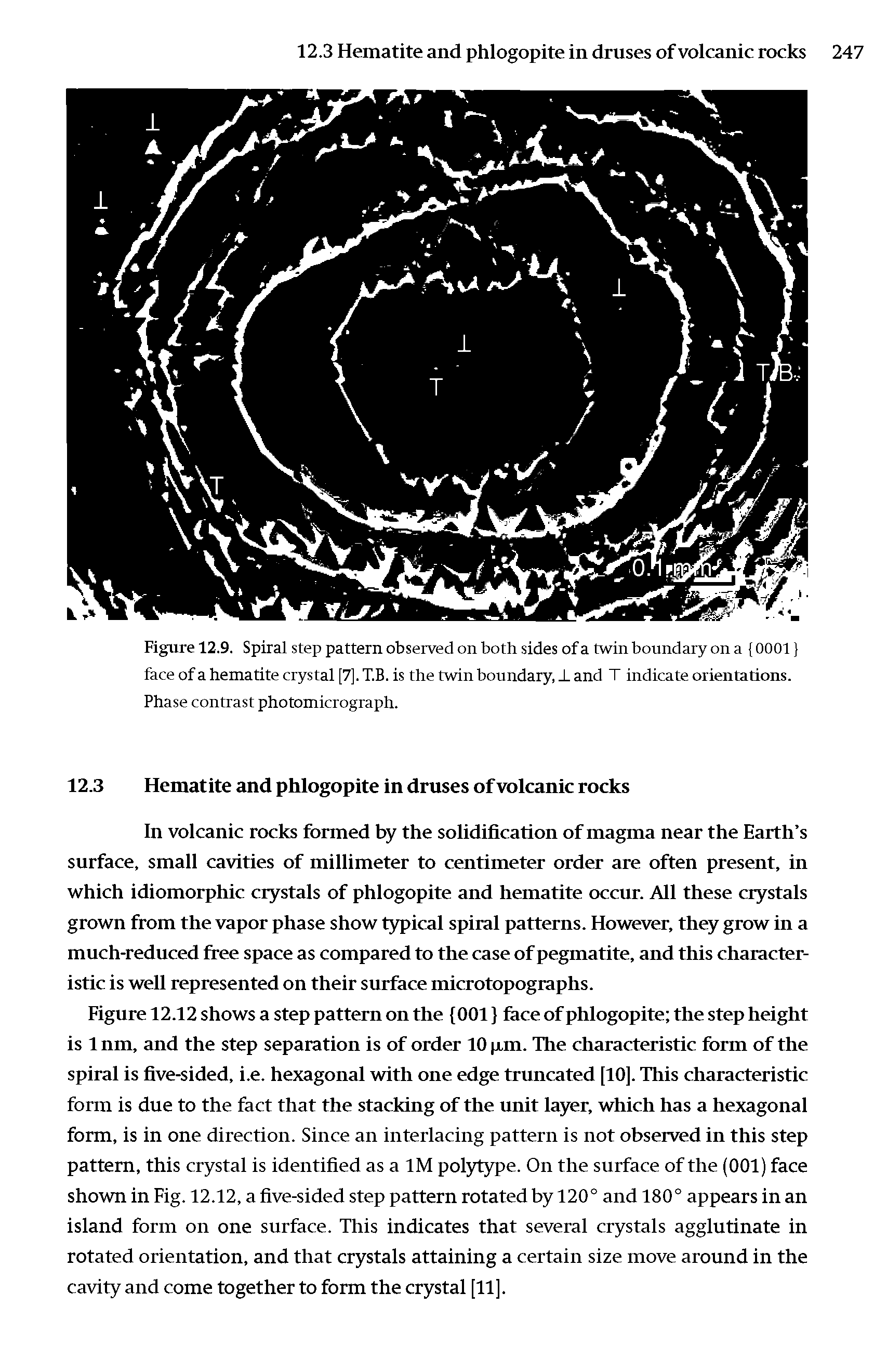 Figure 12.9. Spiral step pattern observed on both sides of a twin boundary on a 0001 face of a hematite crystal [7]. T.B. is the twin boundary, J. and T indicate orientations. Phase contrast photomicrograph.