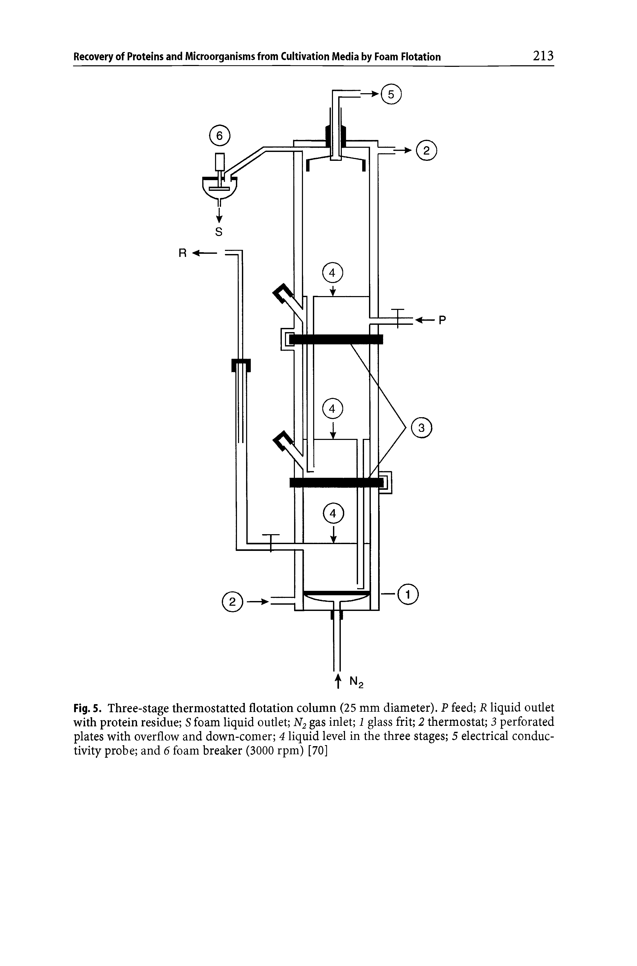 Fig. 5. Three-stage thermostatted flotation column (25 mm diameter). P feed R liquid outlet with protein residue S foam liquid outlet gas inlet 1 glass frit 2 thermostat 3 perforated plates with overflow and down-comer 4 liquid level in the three stages 5 electrical conductivity probe and 6 foam breaker (3000 rpm) [70]...