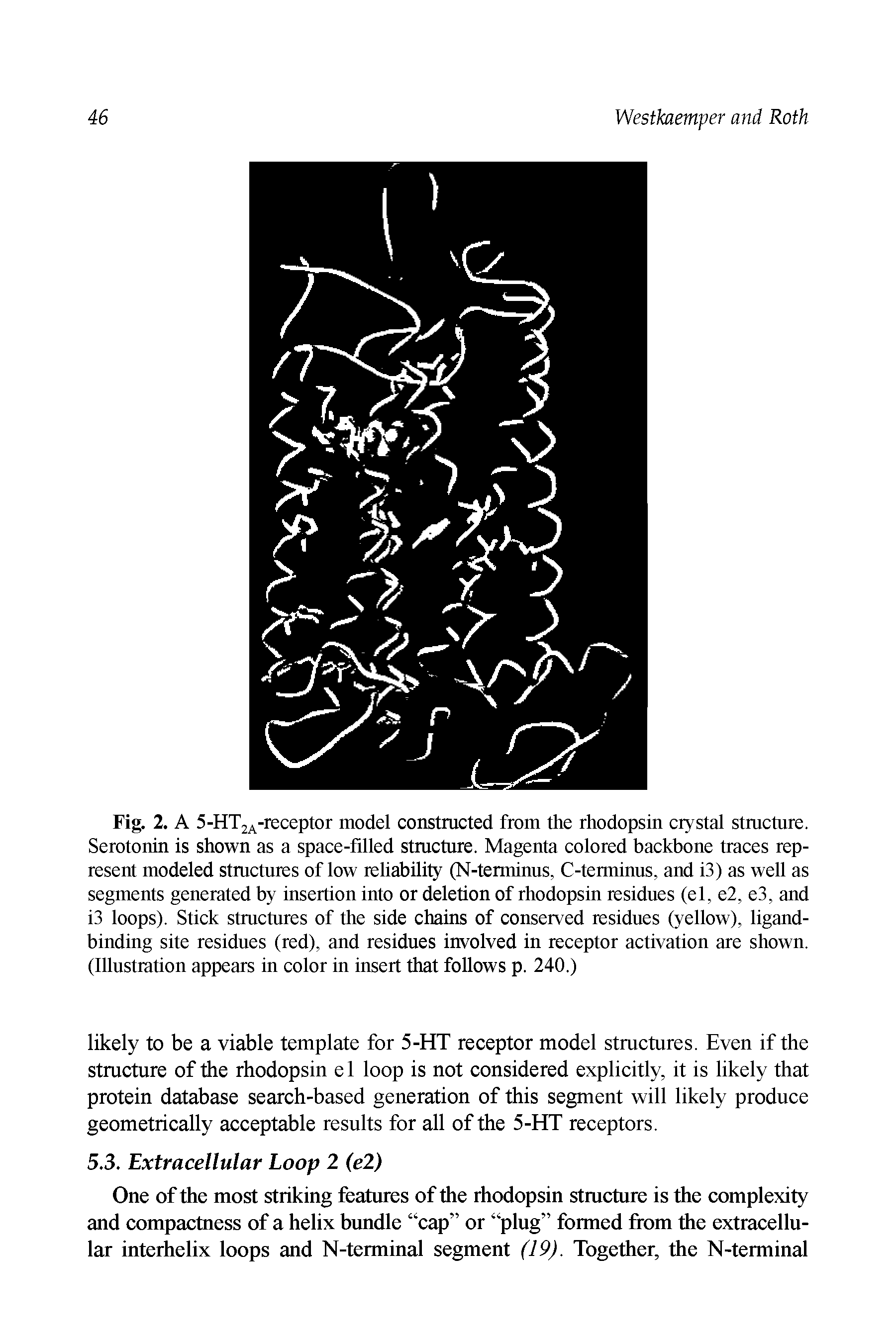 Fig. 2. A 5-HT2A-receptor model constructed from the rhodopsin crystal structure. Serotonin is shown as a space-filled structure. Magenta colored backbone traces represent modeled structures of low reliability (N-terminus, C-terminus, and i3) as well as segments generated by insertion into or deletion of rhodopsin residues (el, e2, e3, and i3 loops). Stick structures of the side chains of conserved residues (yellow), ligandbinding site residues (red), and residues involved in receptor activation are shown. (Illustration appears in color in insert that follows p. 240.)...