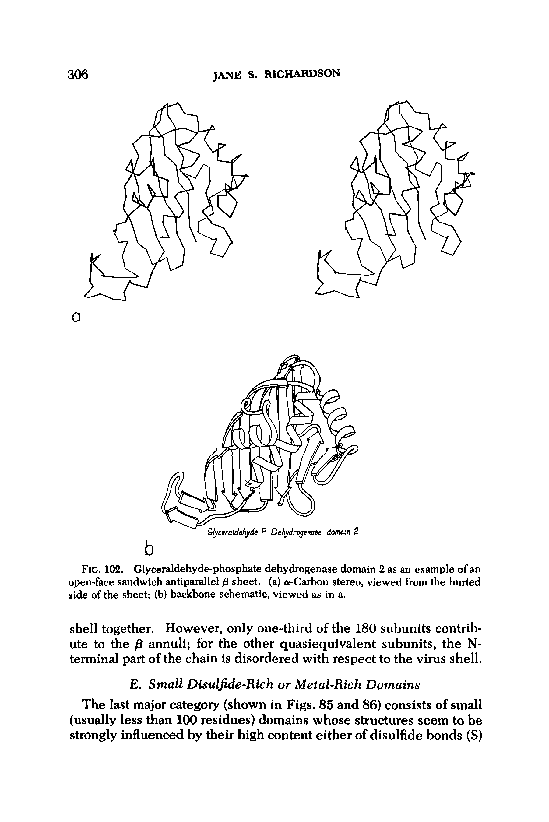 Fig. 102. Glyceraldehyde-phosphate dehydrogenase domain 2 as an example of an open-face sandwich antiparallel /3 sheet, (a) a-Carbon stereo, viewed from the buried side of the sheet (b) backbone schematic, viewed as in a.