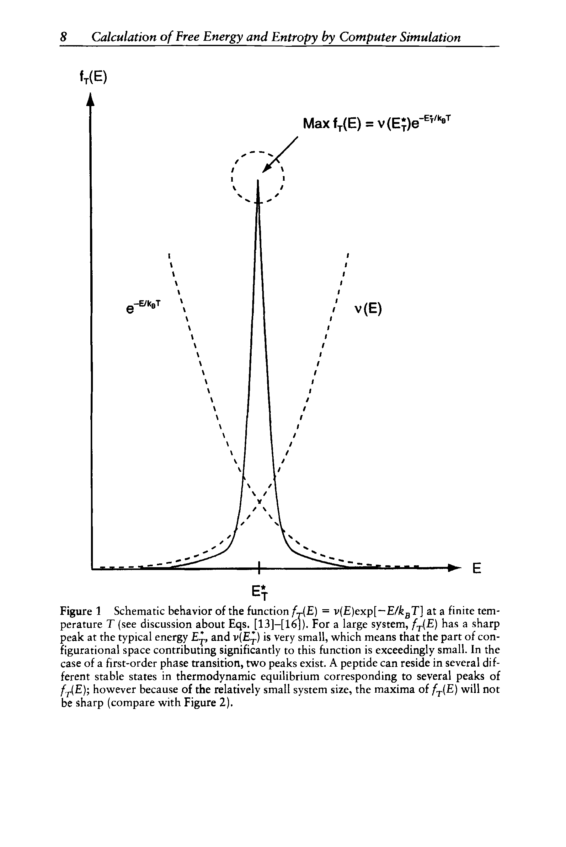 Figure 1 Schematic behavior of the function f-AE) = v( )exp[—E/ gT] at a finite temperature T (see discussion about Eqs. [13]-[16]). For a large system, /ij.( ) has a sharp peak at the typical energy , and v( ) is very small, which means that the part of configurational space contributing significantly to this function is exceedingly small. In the case of a first-order phase transition, two peaks exist. A peptide can reside in several different stable states in thermodynamic equilibrium corresponding to several peaks of / j.( ) however because of the relatively small system size, the maxima of f (E) will not be sharp (compare with Figure 2).