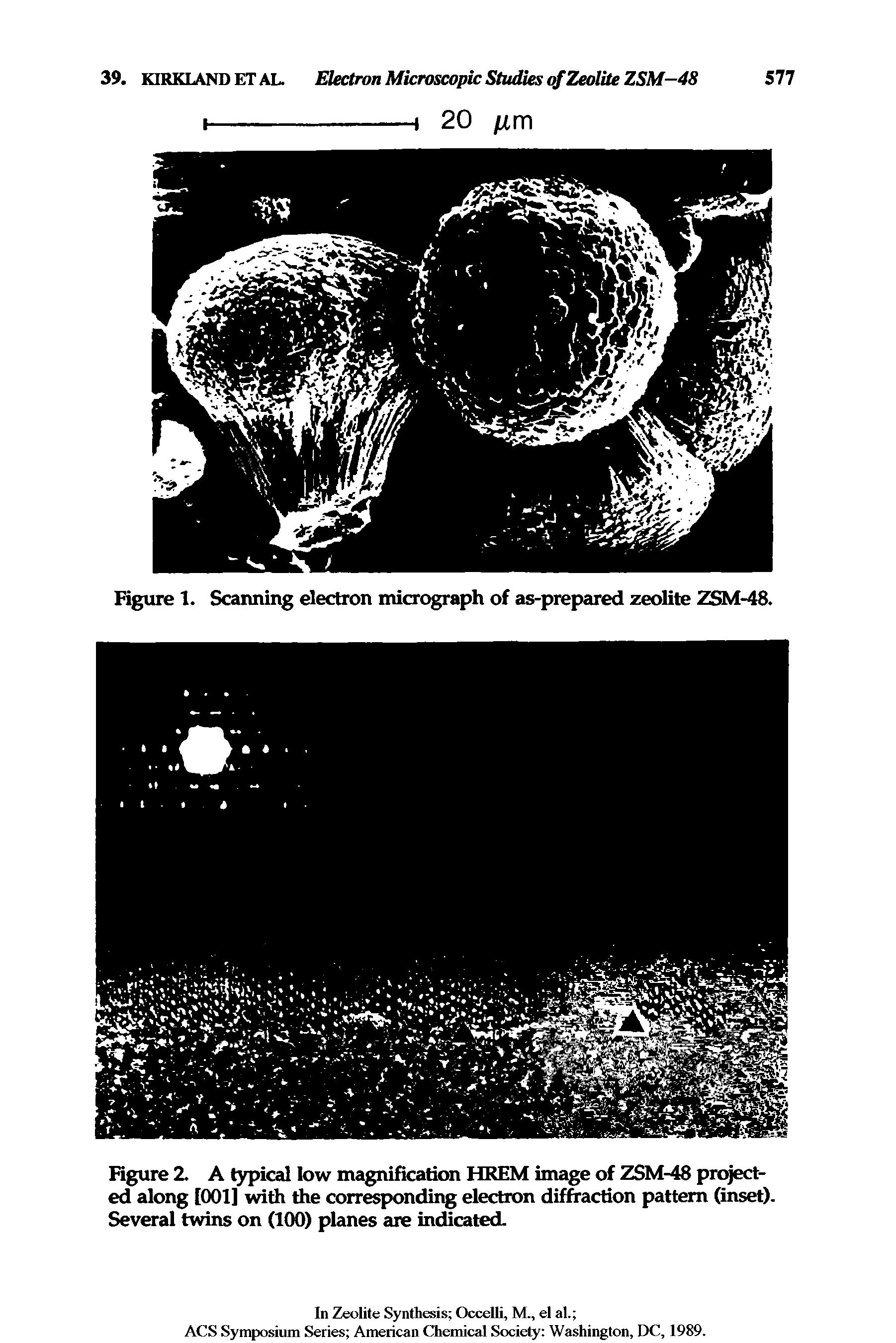 Figure 1. Scanning electron micrograph of as-prepared zeolite ZSM-48.