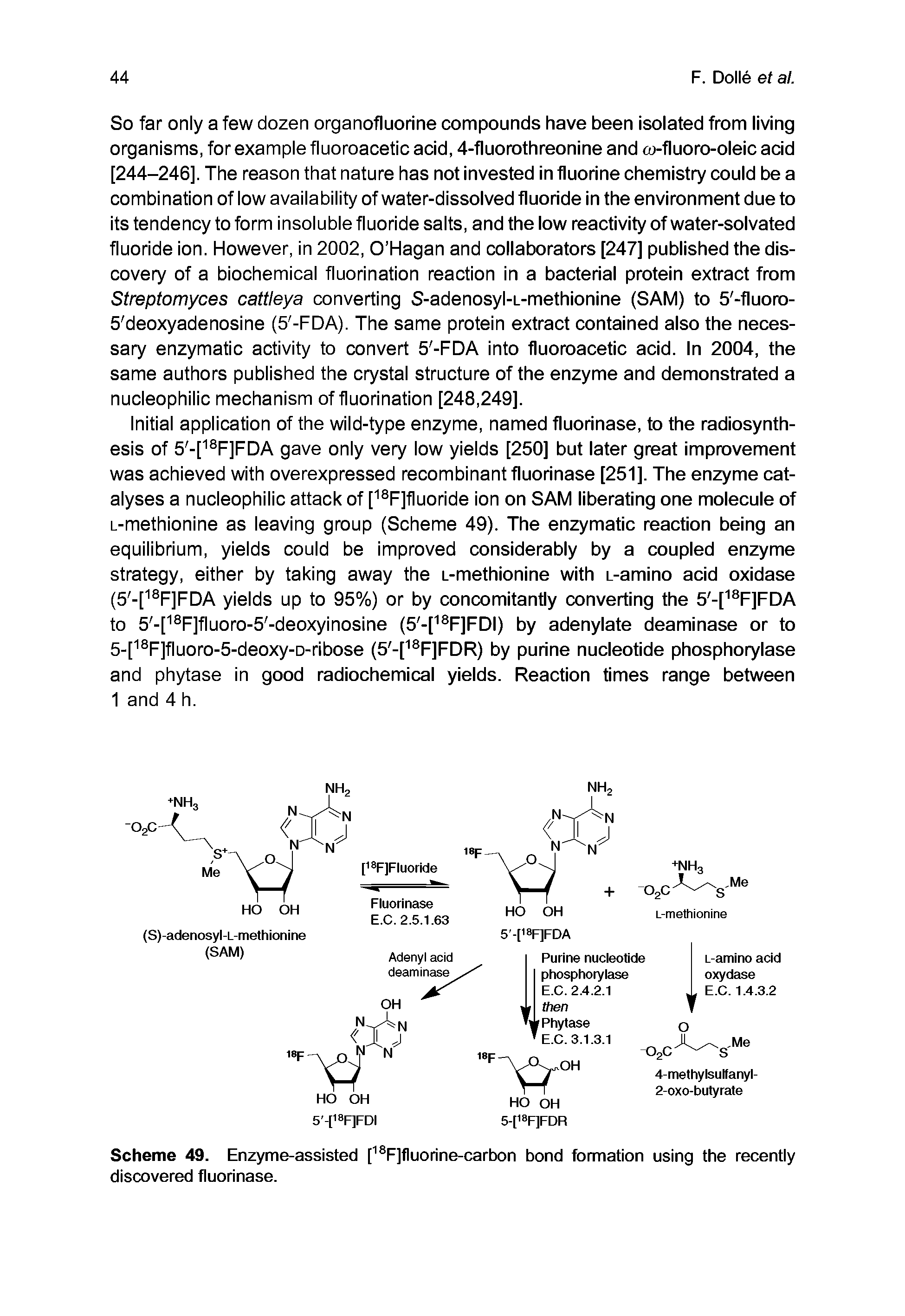 Scheme 49. Enzyme-assisted [ F]fluorine-carbon bond formation using the recently discovered fluorinase.