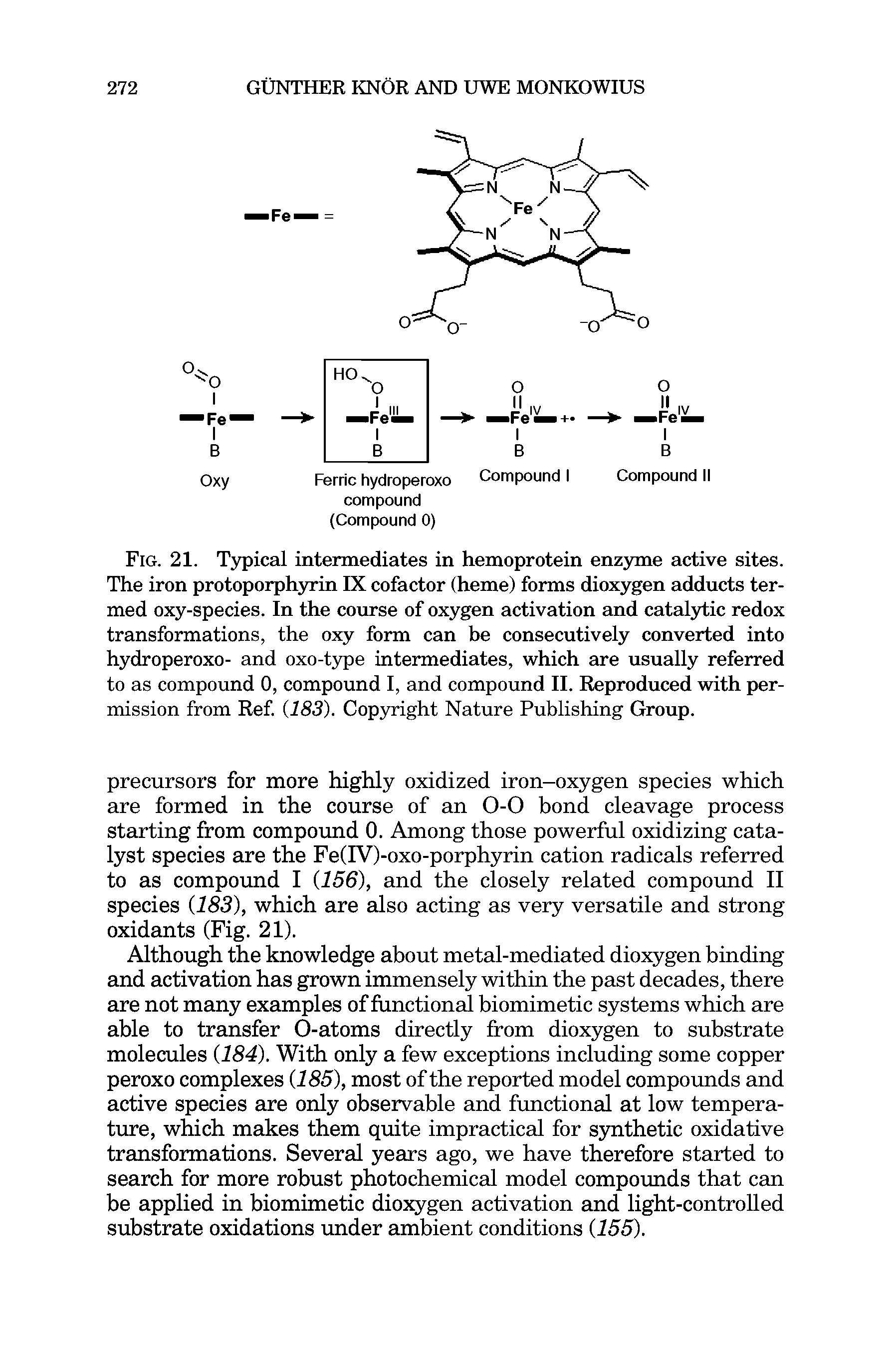 Fig. 21. Typical intermediates in hemoprotein enzyme active sites. The iron protoporphyrin IX cofactor (heme) forms dioxygen adducts termed oxy-species. In the course of oxygen activation and catalytic redox transformations, the oxy form can be consecutively converted into hydroperoxo- and oxo-type intermediates, which are usually referred to as compound 0, compound I, and compound II. Reproduced with permission from Ref (183). Copyright Nature Publishing Group.