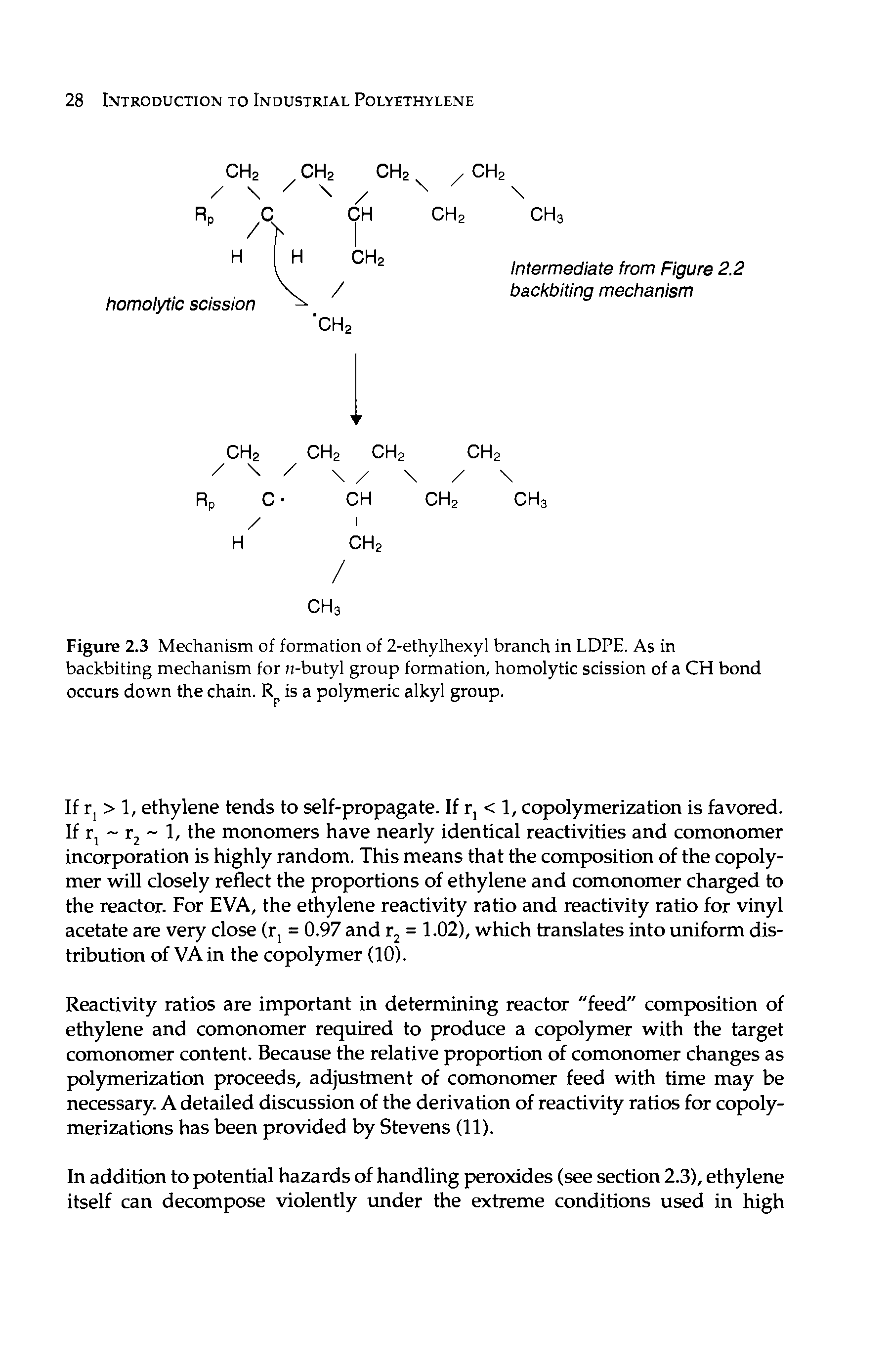 Figure 2.3 Mechanism of formation of 2-ethylhexyl branch in LDPE. As in backbiting mechanism for n-butyl group formation, homolytic scission of a CH bond occurs down the chain. is a polymeric alkyl group.