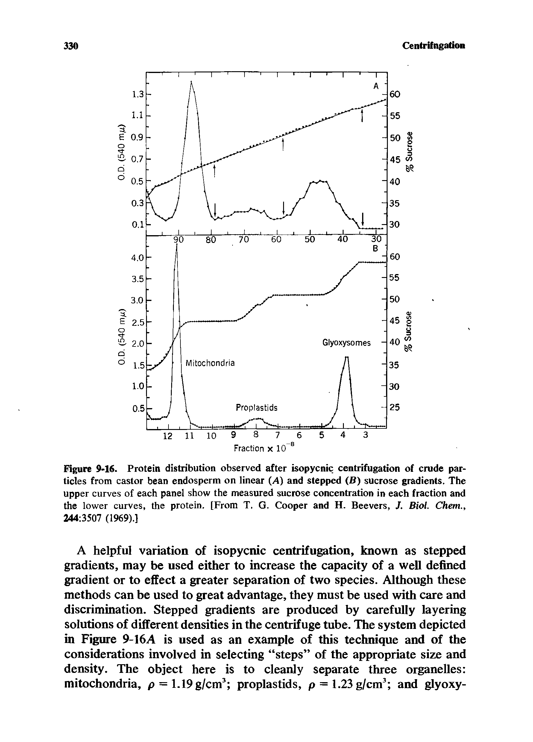 Figure 9-16. Protein distribution observed after isopycnic centrifugation of crude particles from castor bean endosperm on linear A) and stepped (B) sucrose gradients. The upper curves of each panel show the measured sucrose concentration in each fraction and the lower curves, the protein. [From T. G. Cooper and H. Beevers, J. Biol. Chem., 244 3507 (1969).]...