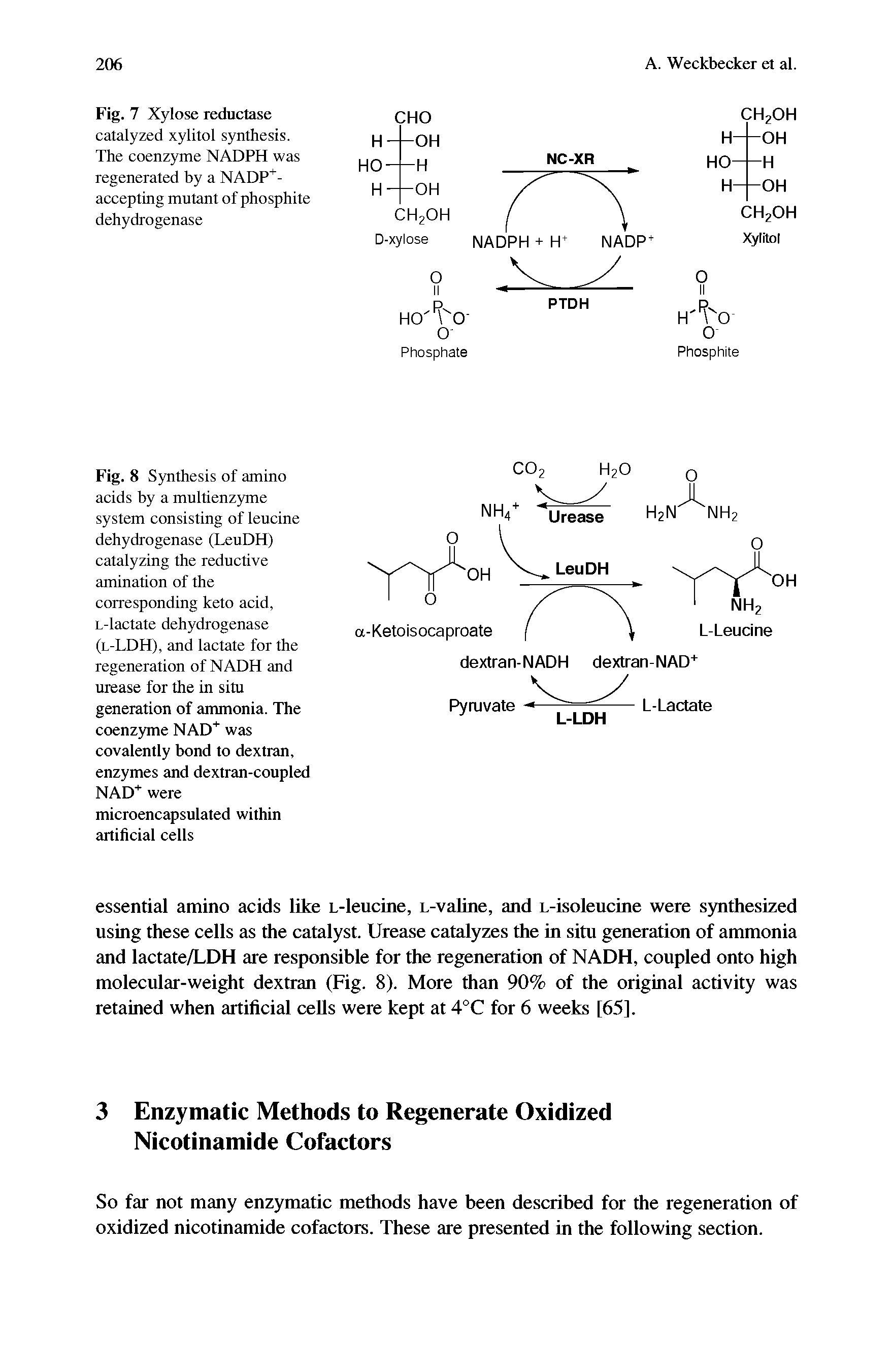 Fig. 8 Synthesis of amino acids by a multienzyme system consisting of leucine dehydrogenase (LeuDH) catalyzing the reductive amination of the corresponding keto acid, L-lactate dehydrogenase (l-LDH), and lactate for the regeneration of NADH and urease for the in situ generation of ammonia. The coenzyme NAD+ was covalently bond to dextran, enzymes and dextran-coupled NAD+ were...