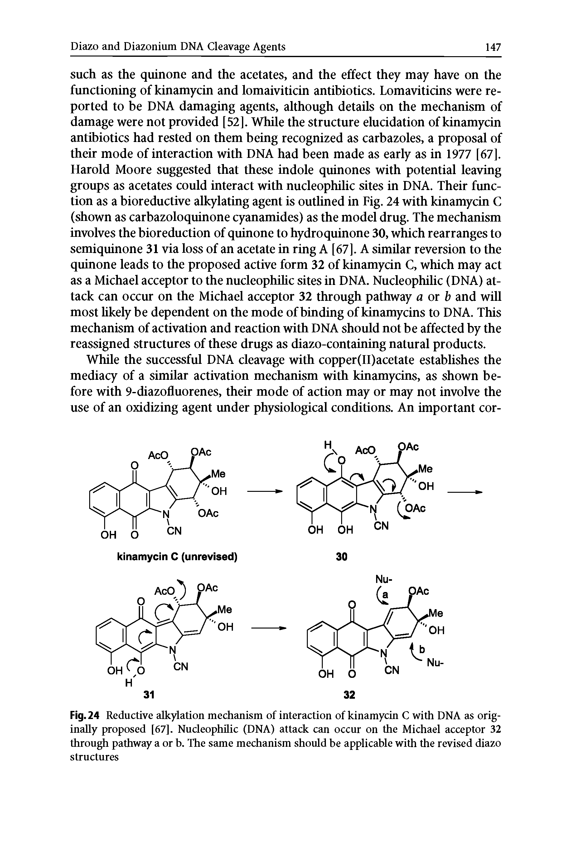 Fig. 24 Reductive alkylation mechanism of interaction of kinamycin C with DNA as originally proposed [67], Nucleophilic (DNA) attack can occur on the Michael acceptor 32 through pathway a or b. The same mechanism should be applicable with the revised diazo structures...