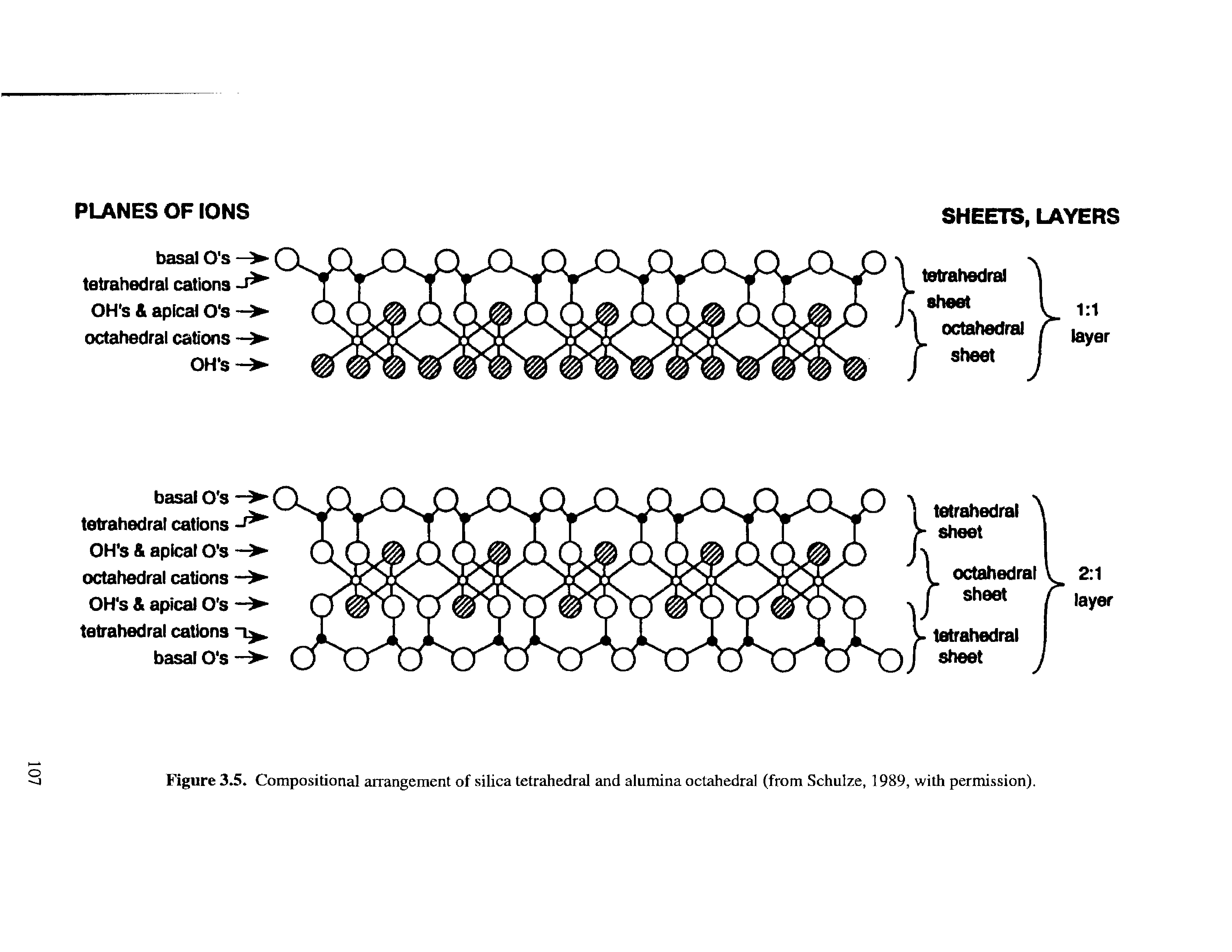 Figure 3.5. Compositional arrangement of silica tetrahedral and alumina octahedral (from Schulze, 1989, with permission).