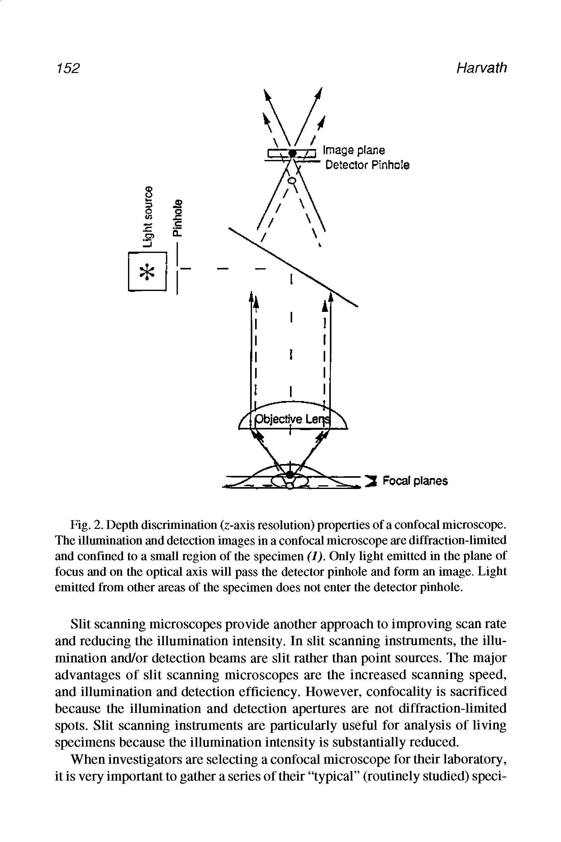 Fig. 2. Depth discrimination (z-axis resolution) properties of a confocal microscope. The illumination and detection images in a confocal microscope are diffraction-limited and confined to a small region of the specimen (1). Only light emitted in the plane of focus and on the optical axis will pass the detector pinhole and form an image. Light emitted from other areas of the specimen does not enter the detector pinhole.