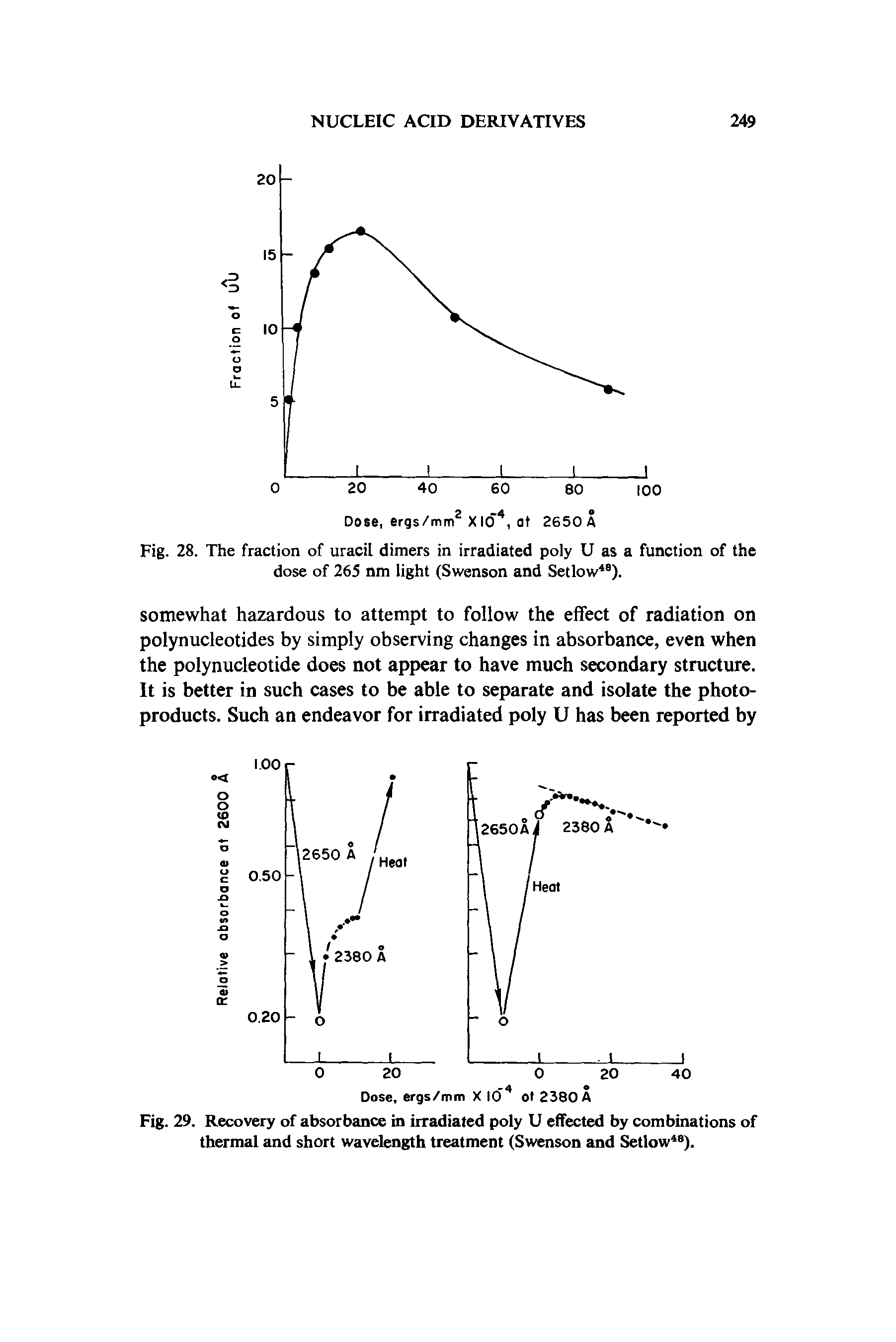 Fig. 29. Recovery of absorbance in irradiated poly U effected by combinations of thermal and short wavelength treatment (Swenson and Setlow48).
