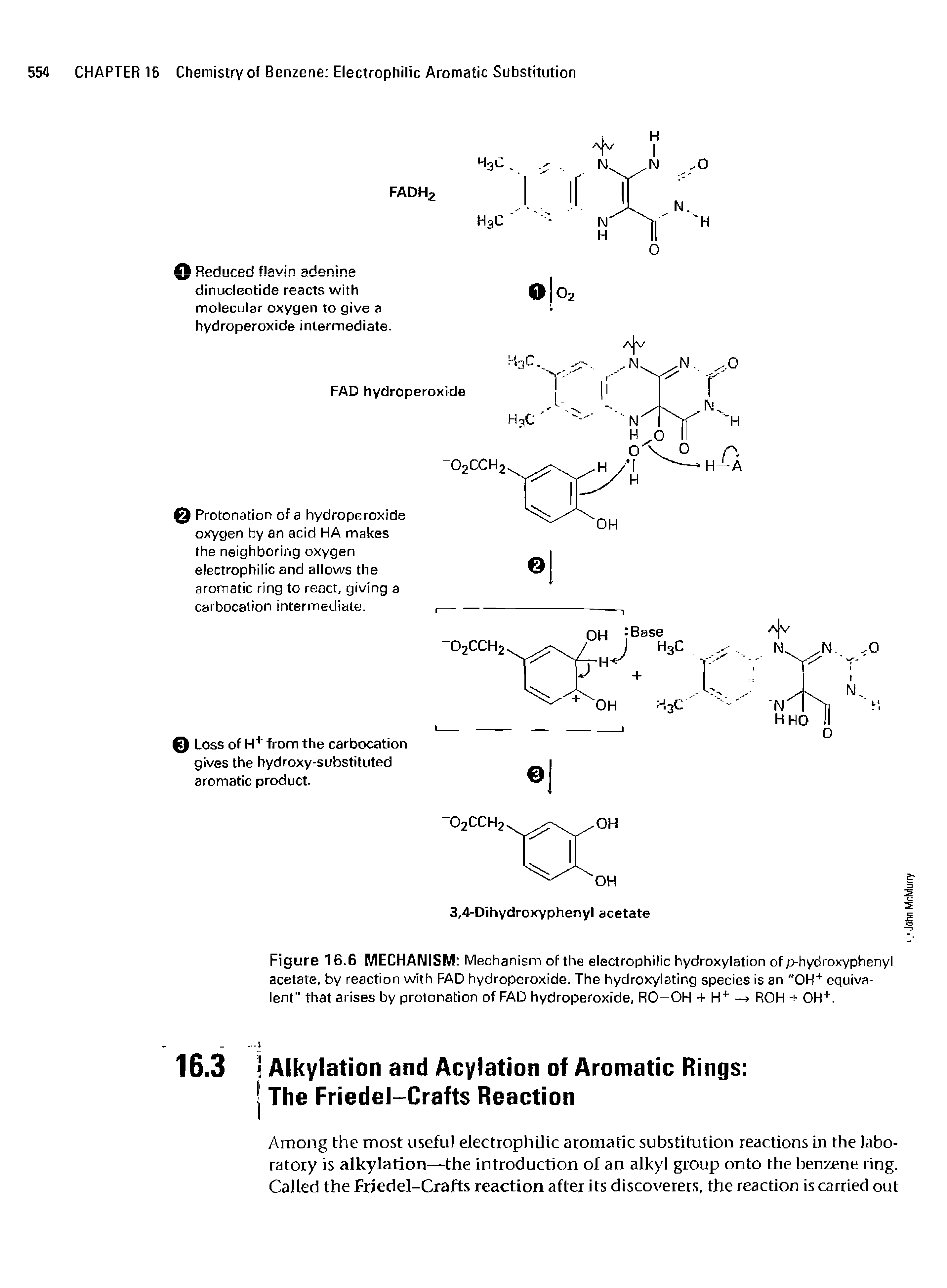 Figure 16.6 MECHANISM Mechanism of the electrophilic hydroxylation of p-hydroxyphenyl acetate, by reaction with FAD hydroperoxide. The hydroxyiating species is an "0H+ equivalent that arises by protonation of FAD hydroperoxide, RO-OH + H+ — ROH -+ 0H+.