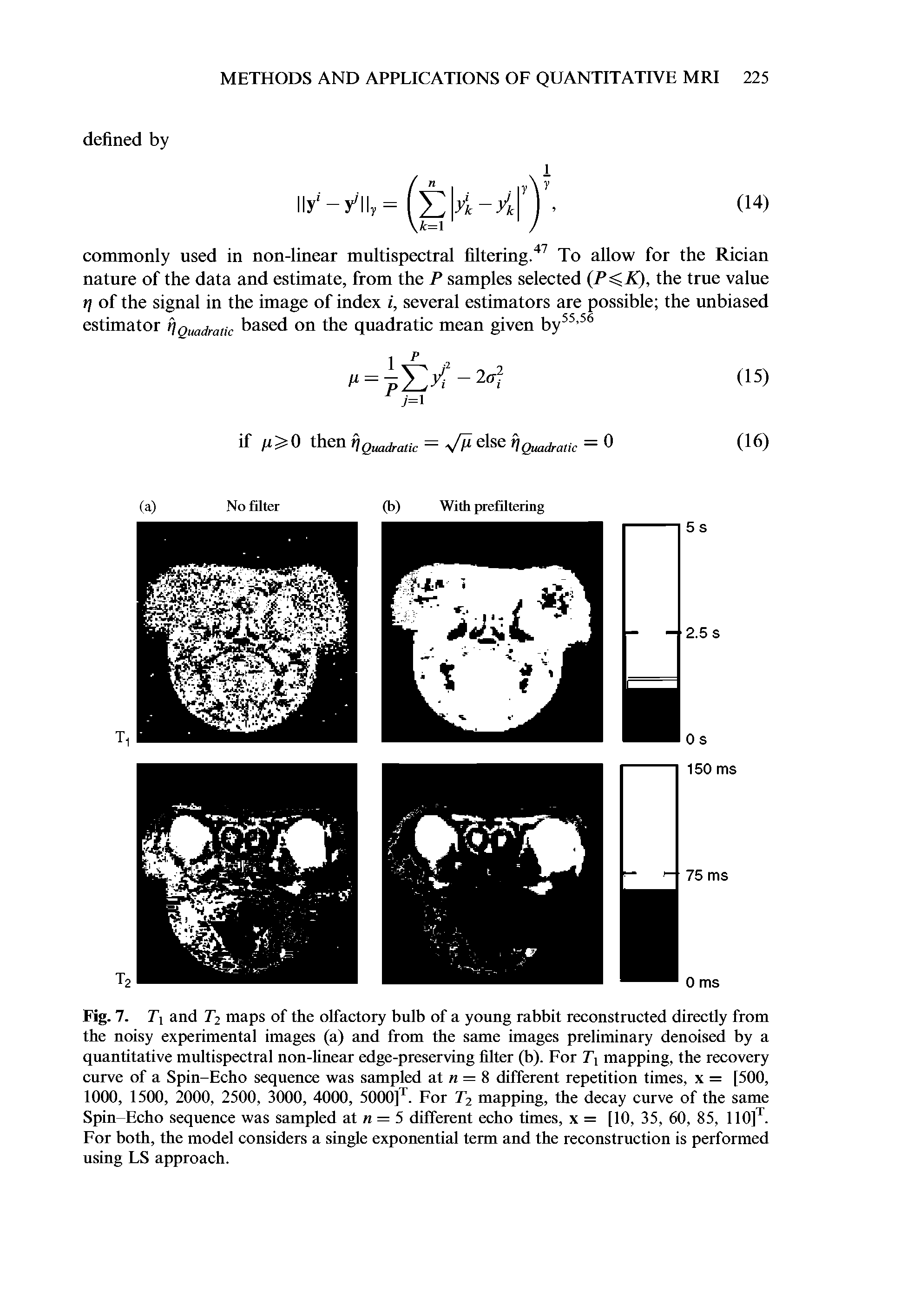 Fig. 7. T and T2 maps of the olfactory bulb of a young rabbit reconstructed directly from the noisy experimental images (a) and from the same images preliminary denoised by a quantitative multispectral non-linear edge-preserving filter (b). For Tx mapping, the recovery curve of a Spin-Echo sequence was sampled at n = 8 different repetition times, x = [500, 1000, 1500, 2000, 2500, 3000, 4000, 5000]T. For T2 mapping, the decay curve of the same Spin-Echo sequence was sampled at n = 5 different echo times, x = [10, 35, 60, 85, 110]T. For both, the model considers a single exponential term and the reconstruction is performed using LS approach.