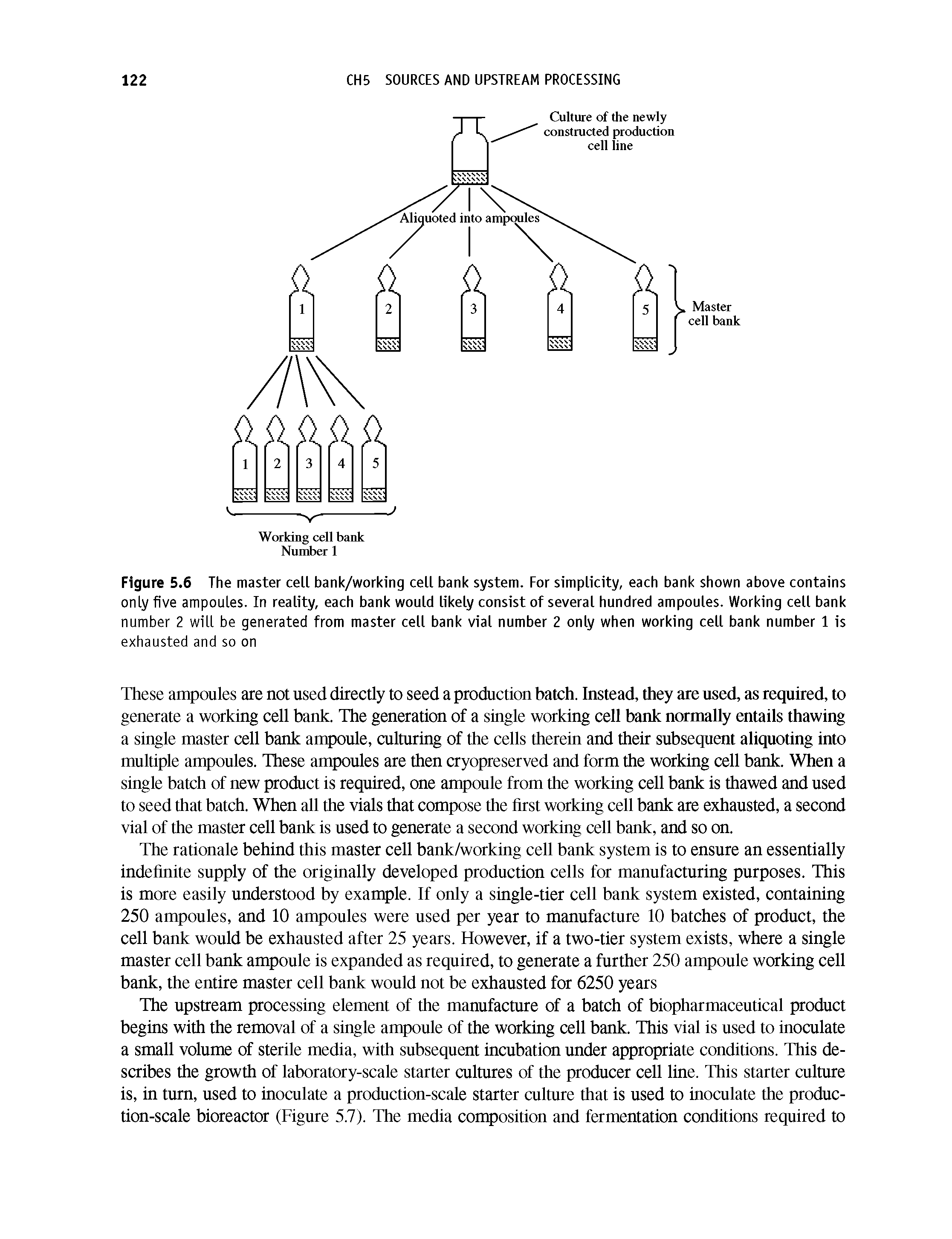 Figure 5.6 The master cell bank/working cell bank system. For simplicity, each bank shown above contains only five ampoules. In reality, each bank would likely consist of several hundred ampoules. Working cell bank number 2 will be generated from master cell bank vial number 2 only when working cell bank number 1 is...