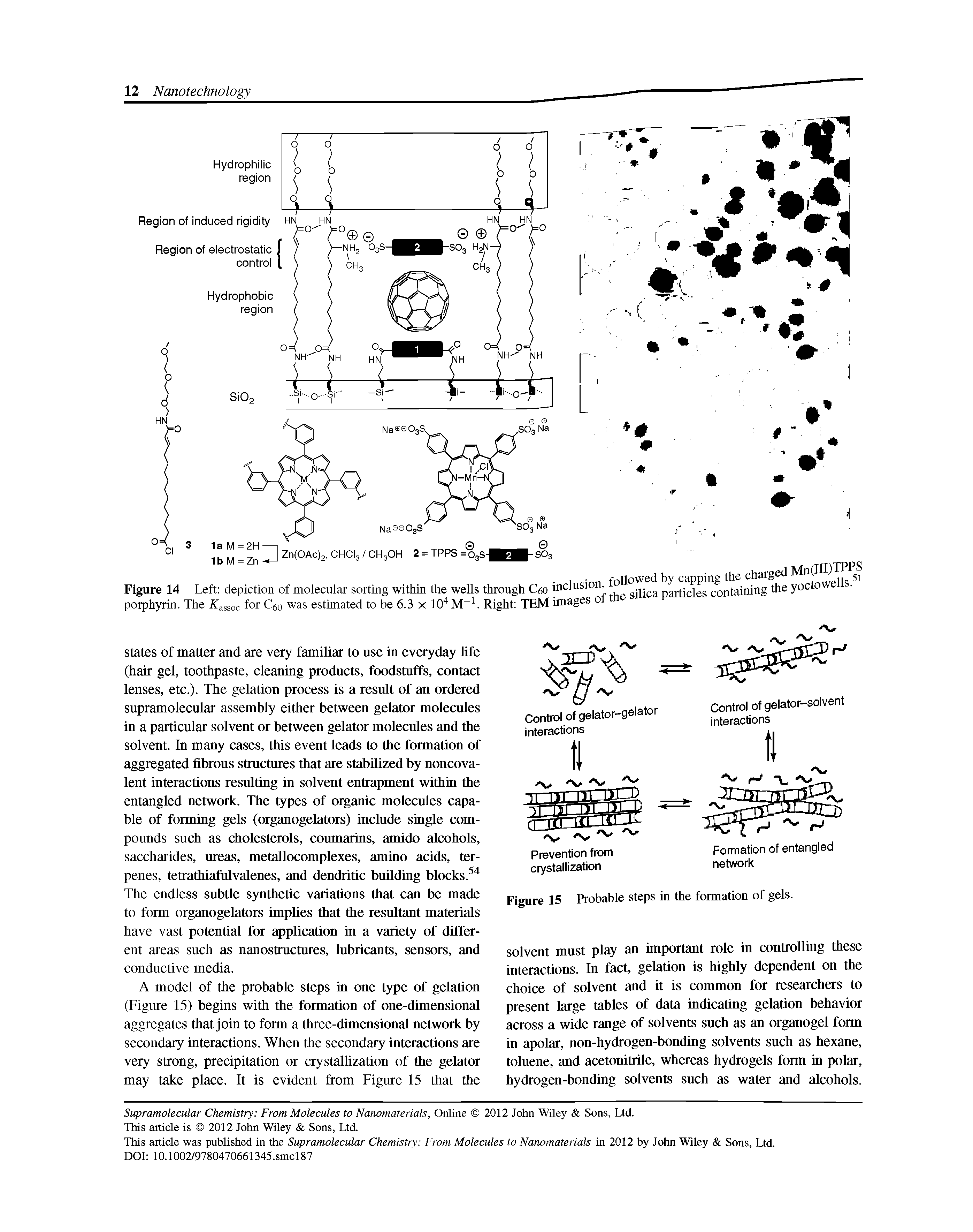 Figure 14 Left depiction of molecular sorting within the wells through Ceo inclusion, mrrirW rontaining e yoctowells. i...