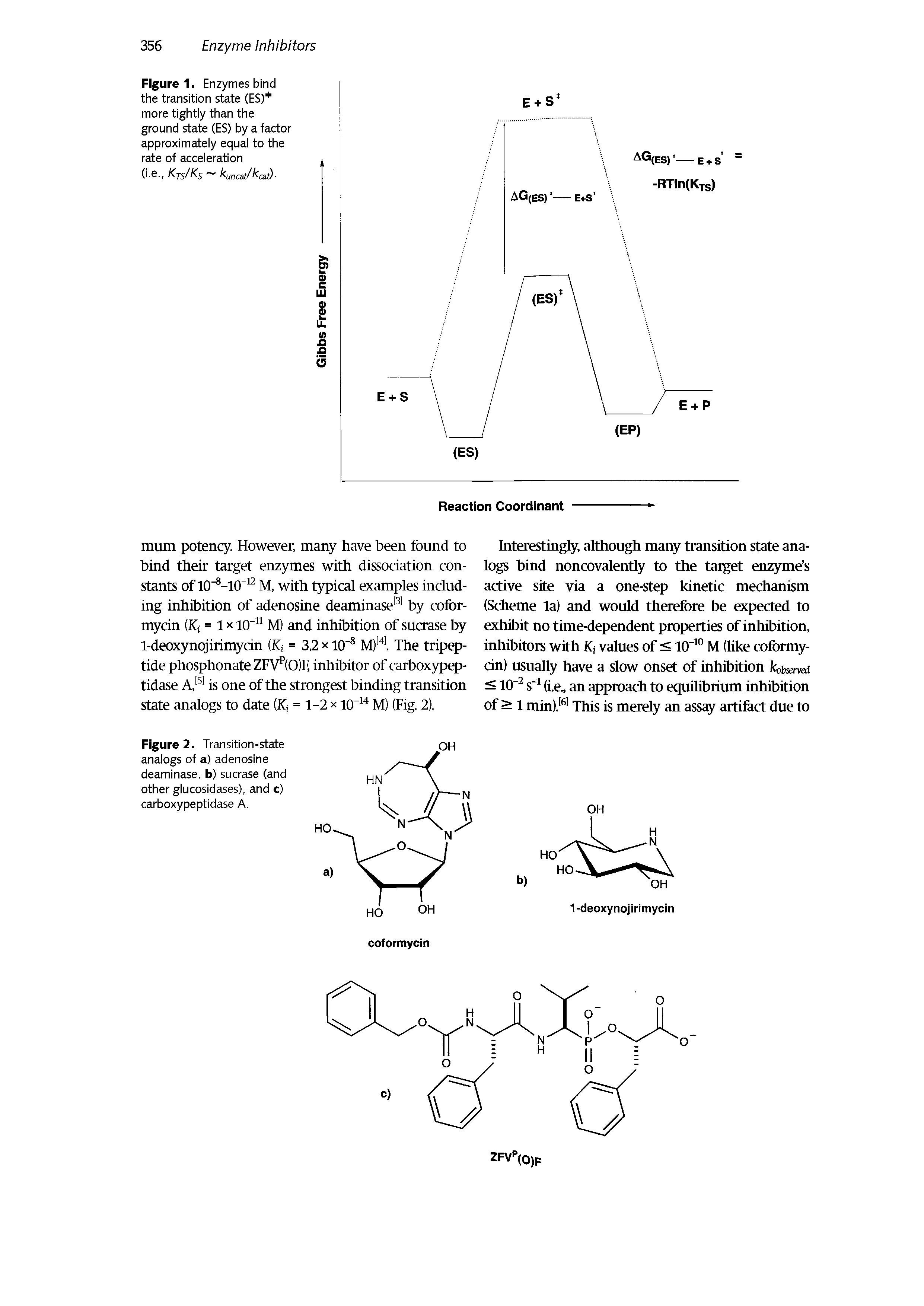 Figure 1. Enzymes bind the transition state (ES) more tightly than the ground state (ES) by a factor approximately equal to the rate of acceleration...