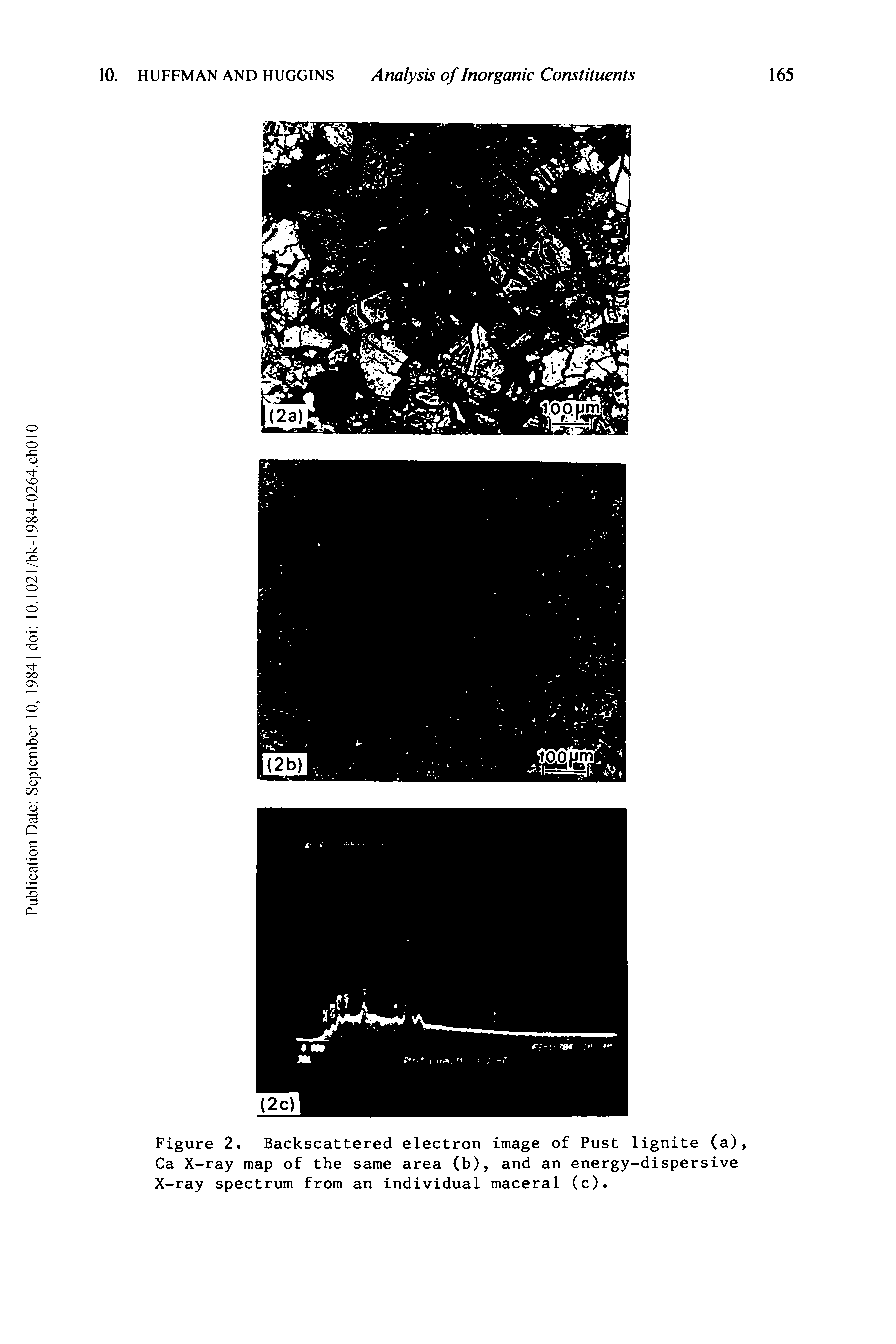 Figure 2. Backscattered electron image of Fust lignite (a), Ca X-ray map of the same area (b), and an energy-dispersive X-ray spectrum from an individual maceral (c).