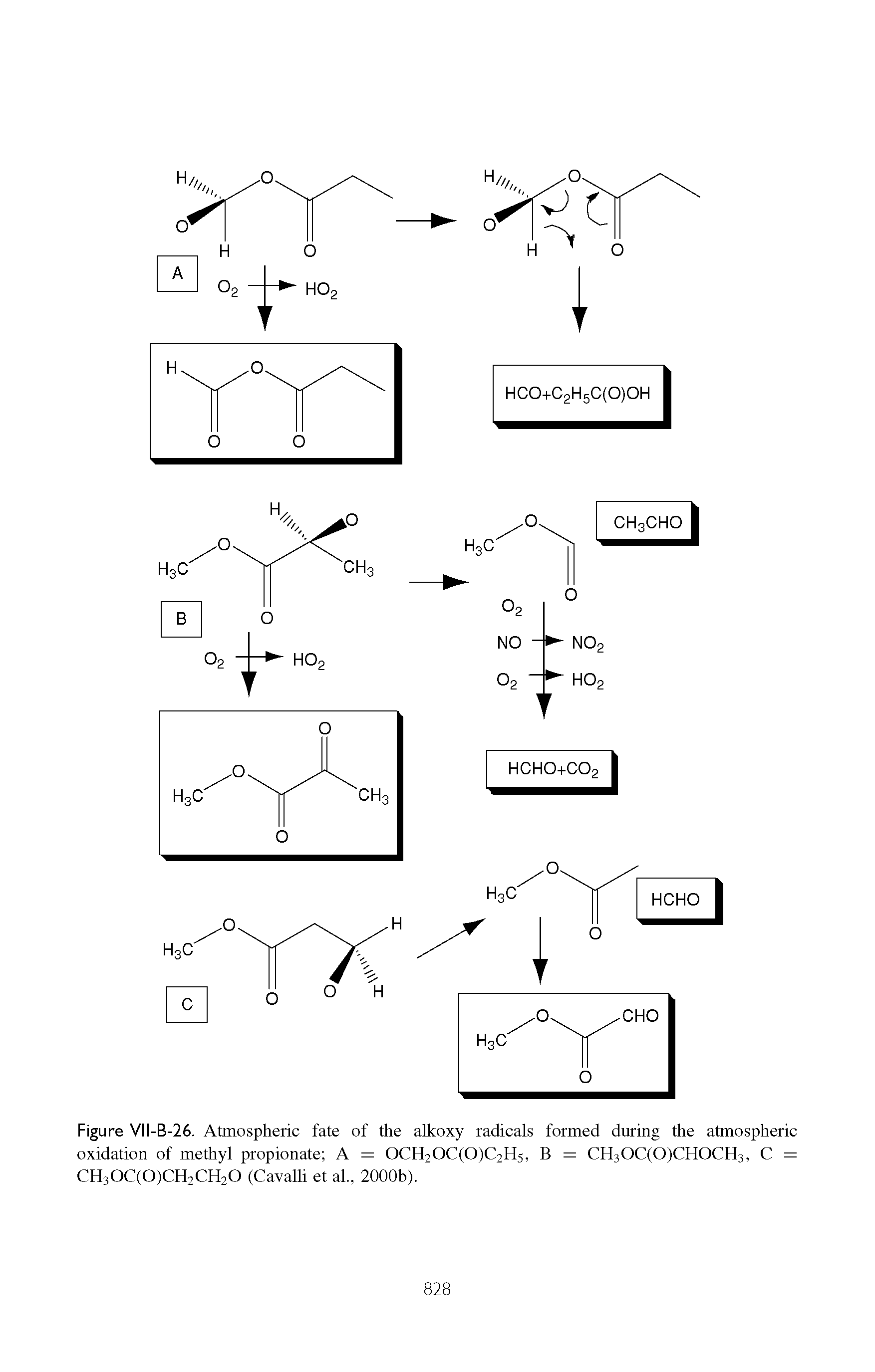 Figure VII-B-26. Atmospheric fate of the alkoxy radicals formed during the atmospheric oxidation of methyl propionate A = 0CH20C(0)C2H5, B = CH30C(0)CH0CH3, C = CH30C(0)CH2CH20 (Cavalli et ah, 2000b).