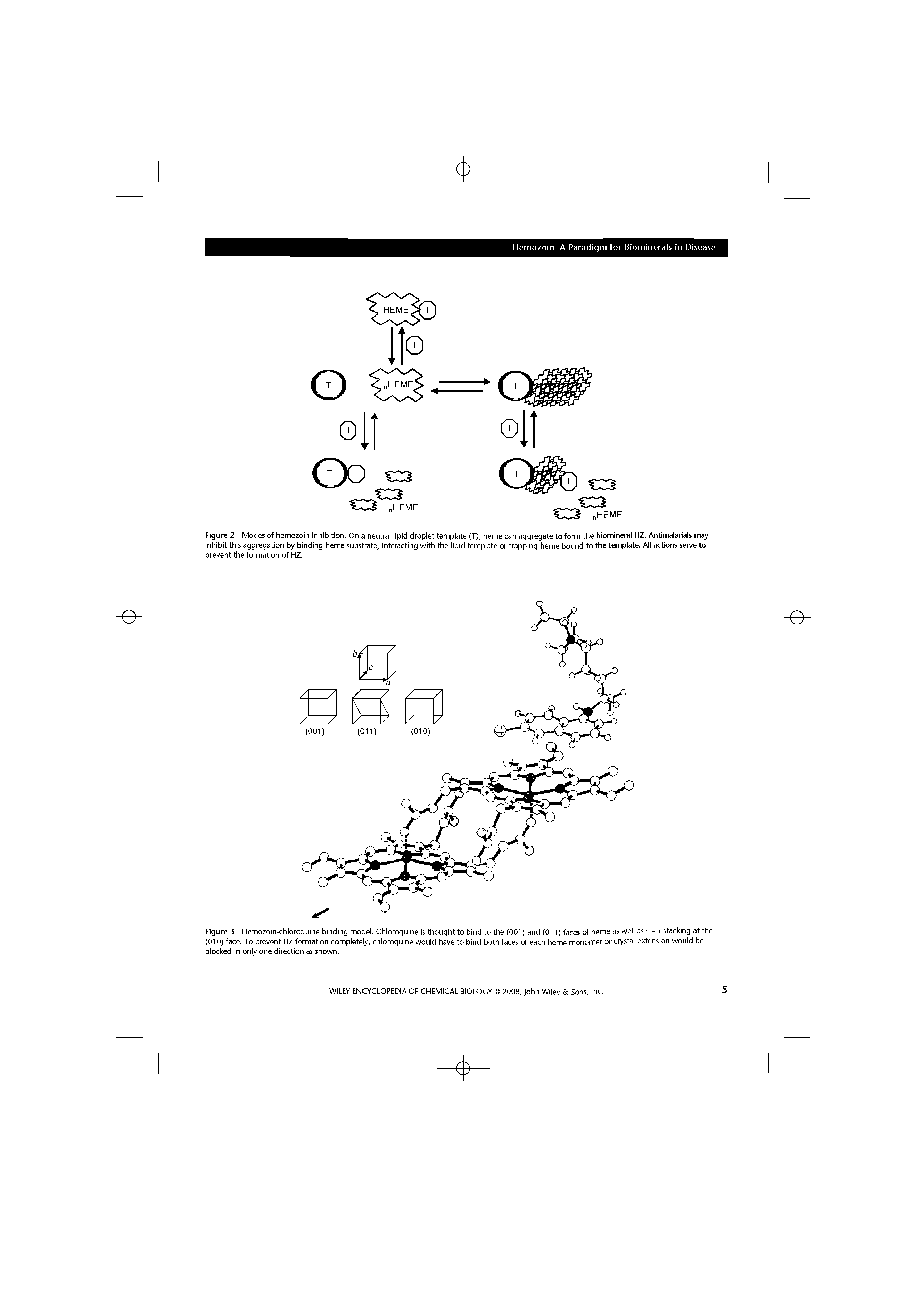 Figure 2 Modes of hemozoin inhibition. On a neutrai iipid dropiet tempiate (T), heme can aggregate to form the biomineral HZ. Antimalarials may inhibit this aggregation by binding heme substrate, interacting with the iipid tempiate or trapping heme bound to the template. All actions serve to prevent the formation of HZ.