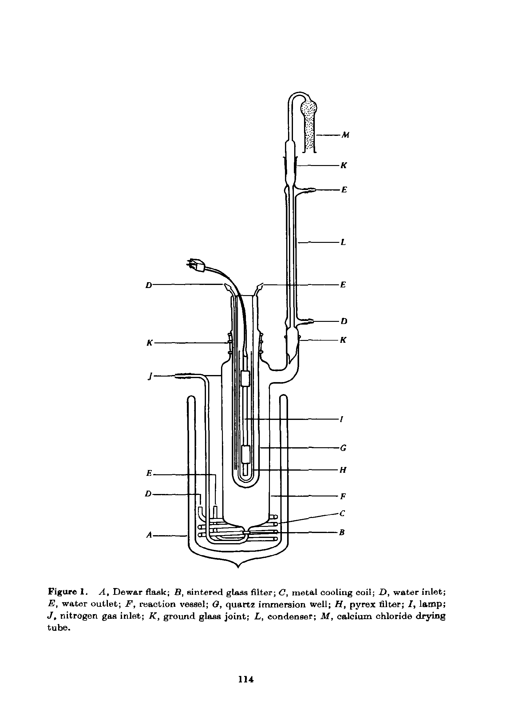 Figure 1. A, Dewar flask B, sintered glass filter C, metal cooling coil D, water inlet E, water outlet F, reaction vessel < , quartz immersion well /f, pyrex filter /, lamp ...