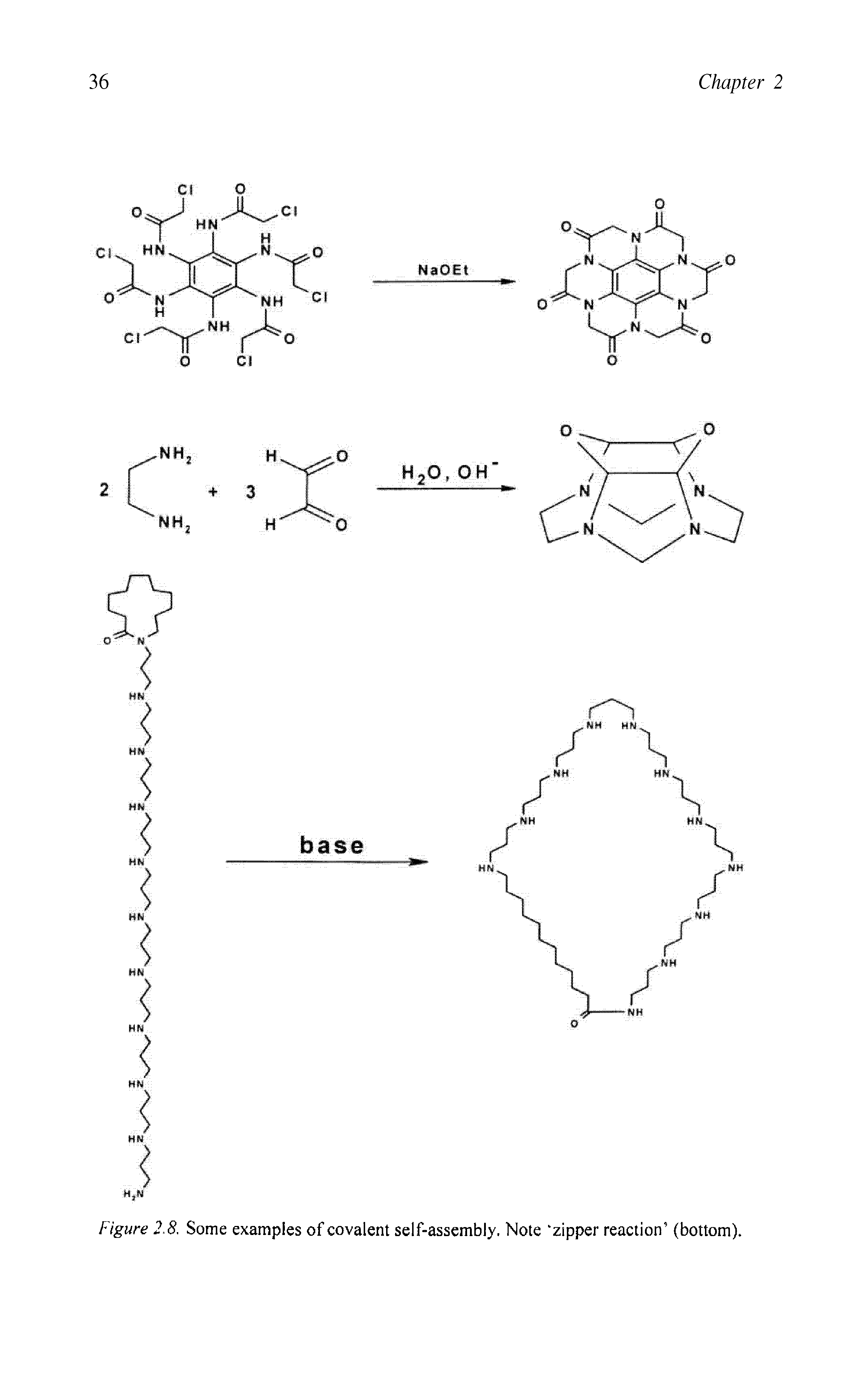 Figure 2.8. Some examples of covalent self-assembly. Note "zipper reaction (bottom).