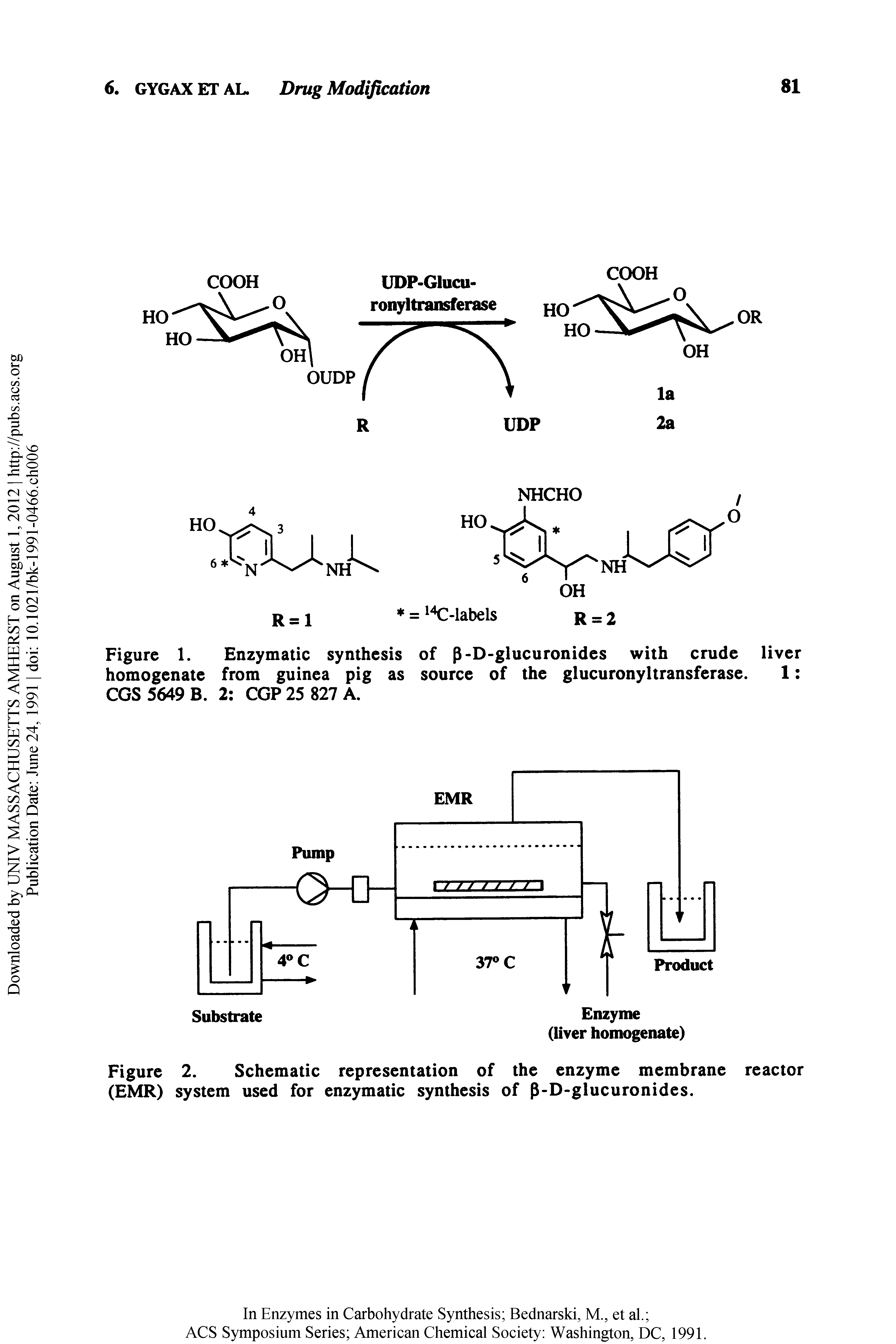 Figure 2. Schematic representation of the enzyme membrane reactor (EMR) system used for enzymatic synthesis of P-D>glucuronides.