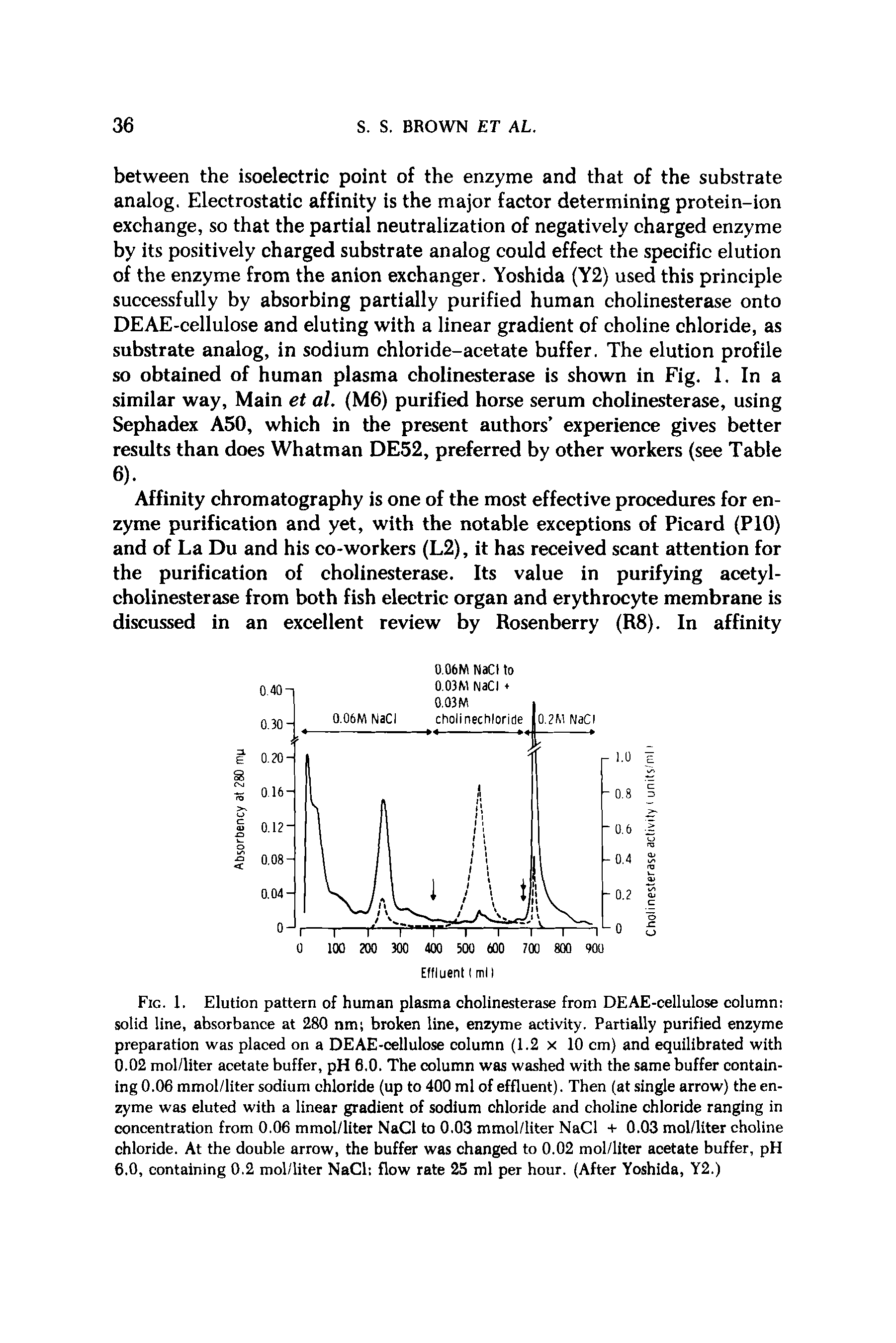 Fig. 1. Elution pattern of human plasma cholinesterase from DEAE-cellulose column solid line, absorbance at 280 nm broken line, enzyme activity. Partially purified enzyme preparation was placed on a DEAE-cellulose column (1.2 x 10 cm) and equilibrated with 0.02 mol/liter acetate buffer, pH 6.0. The column was washed with the same buffer containing 0.06 mmol/liter sodium chloride (up to 400 ml of effluent). Then (at single arrow) the enzyme was eluted with a linear gradient of sodium chloride and choline chloride ranging in concentration from 0.06 mmol/liter NaCl to 0.03 mmol/liter NaCl + 0.03 mol/liter choline chloride. At the double arrow, the buffer was changed to 0.02 mol/liter acetate buffer, pH 6.0, containing 0.2 mol/liter NaCl flow rate 25 ml per hour. (After Yoshida, Y2.)...