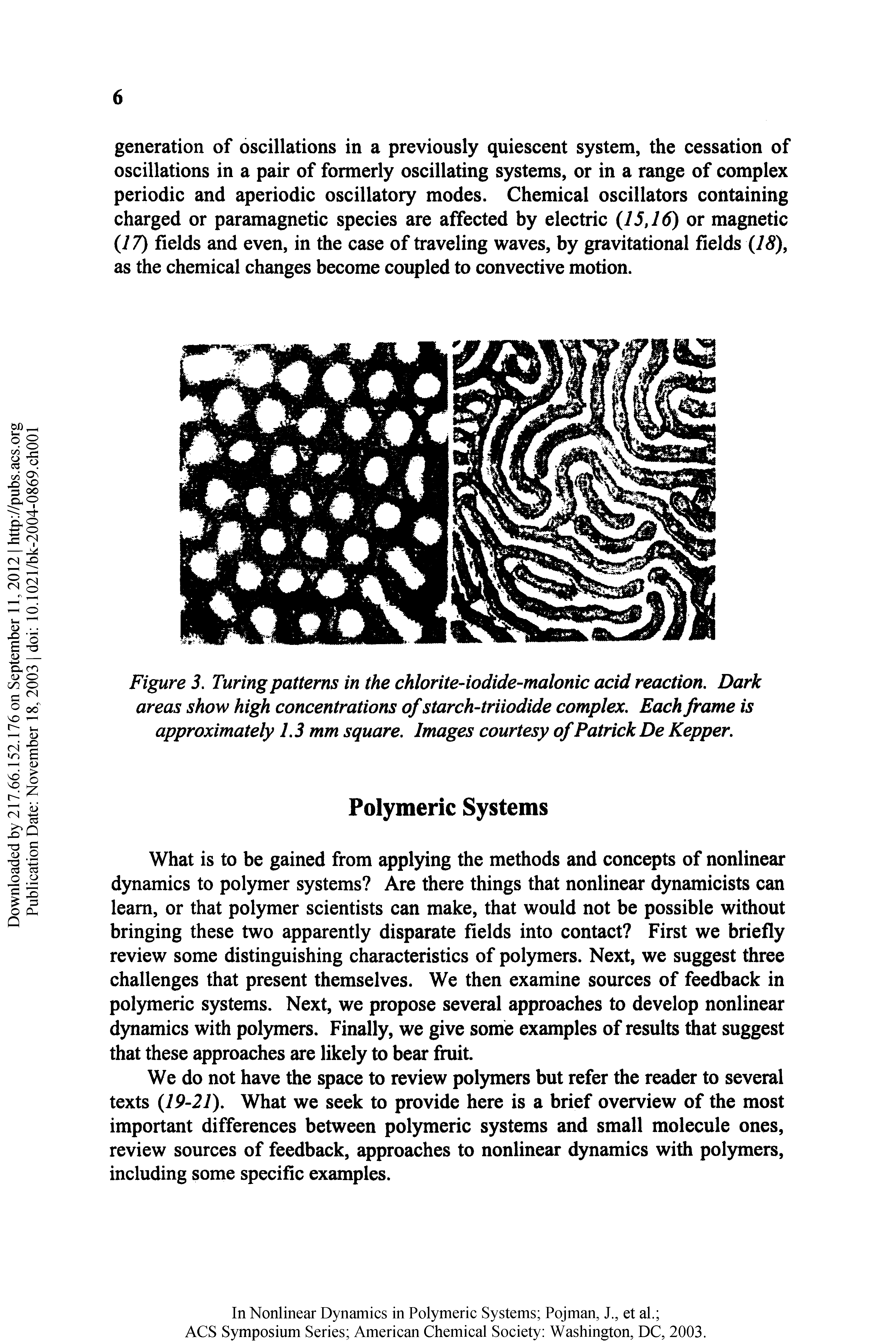 Figure 3. Turing patterns in the chlorite-iodide-malonic acid reaction. Dark areas show high concentrations of starch-triiodide complex. Each frame is approximately 1,3 mm square. Images courtesy of Patrick De Kepper,...