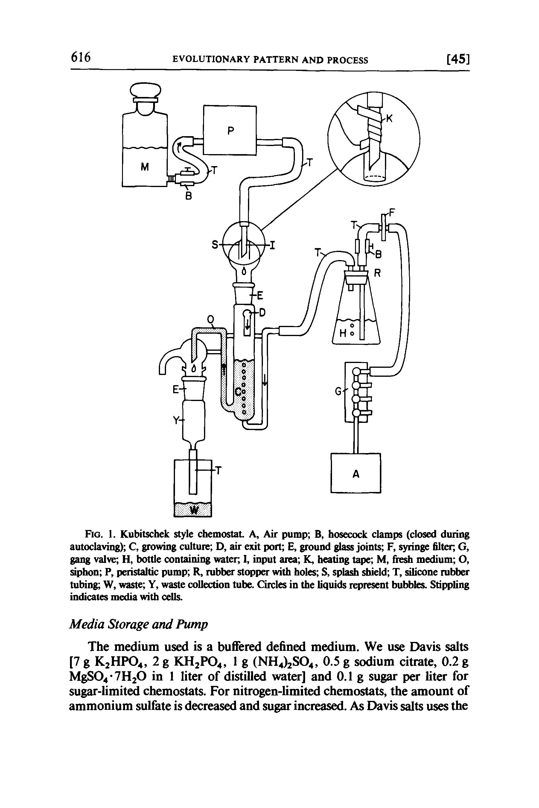 Fig. 1. Kubitschek style chemostat. A, Air pump B, hosecock clamps (closed during autoclaving) C, growing culture D, air exit port E, ground glass joints F, syringe filter, G, gang valve H, bottle containing water I, input area K, heating tape M, fresh medium O, siphon P, peristaltic pump R, rubber stopper with holes S, splash shield T, silicone rubber tubing W, waste Y, waste collection tube. Circles in the liquids represent bubbles. Stippling indicates media with cells.