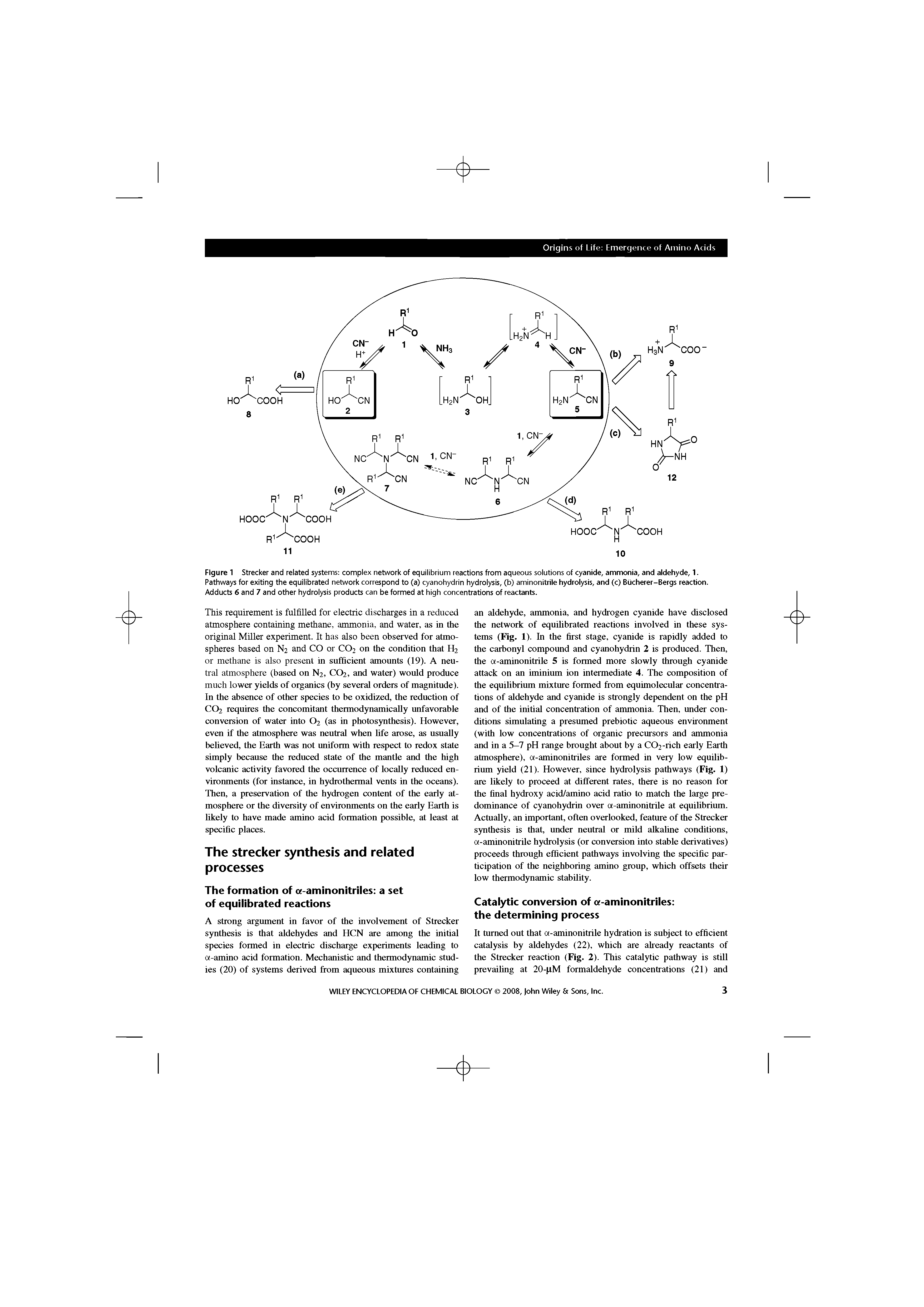 Figure 1 Strecker and related systems complex network of equilibrium reactions from aqueous solutions of cyanide, ammonia, and aldehyde, 1. Pathways for exiting the equilibrated network correspond to (a) cyanohydrin hydrolysis, (b) aminonitrile hydrolysis, and (c) Biicherer-Bergs reaction. Adducts 6 and 7 and other hydrolysis products can be formed at high concentrations of reactants.