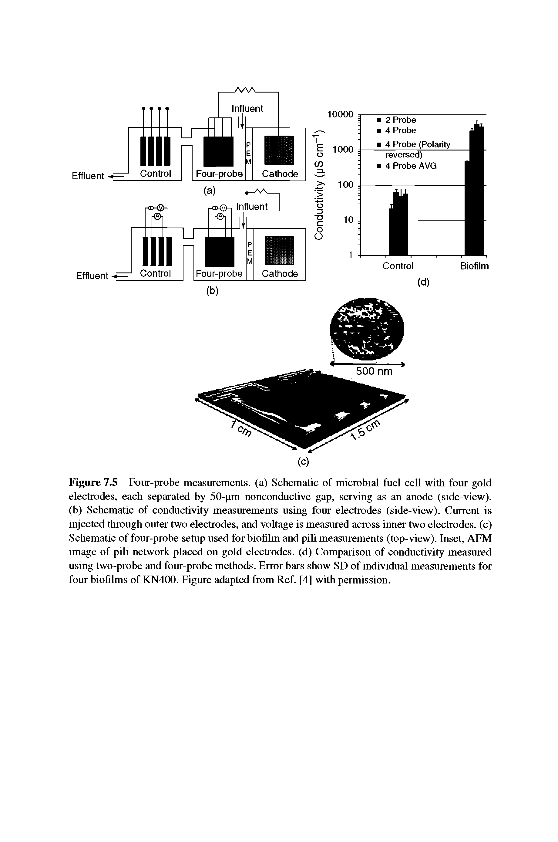 Figure 7.5 Four-probe measurements, (a) Schematic of microbial fuel cell with four gold electrodes, each separated by 50-pm nonconductive gap, serving as an anode (side-view), (b) Schematic of conductivity measurements using four electrodes (side-view). Current is injected through outer two electrodes, and voltage is measured across inner two electrodes, (c) Schematic of four-probe semp used for biofihn and pih measurements (top-view). Inset, AFM image of pili network placed on gold electrodes, (d) Comparison of conductivity measured using two-probe and four-probe methods. Error bars show SD of individual measurements for four biofilms of KN400. Figure adapted from Ref. [4] with permission.